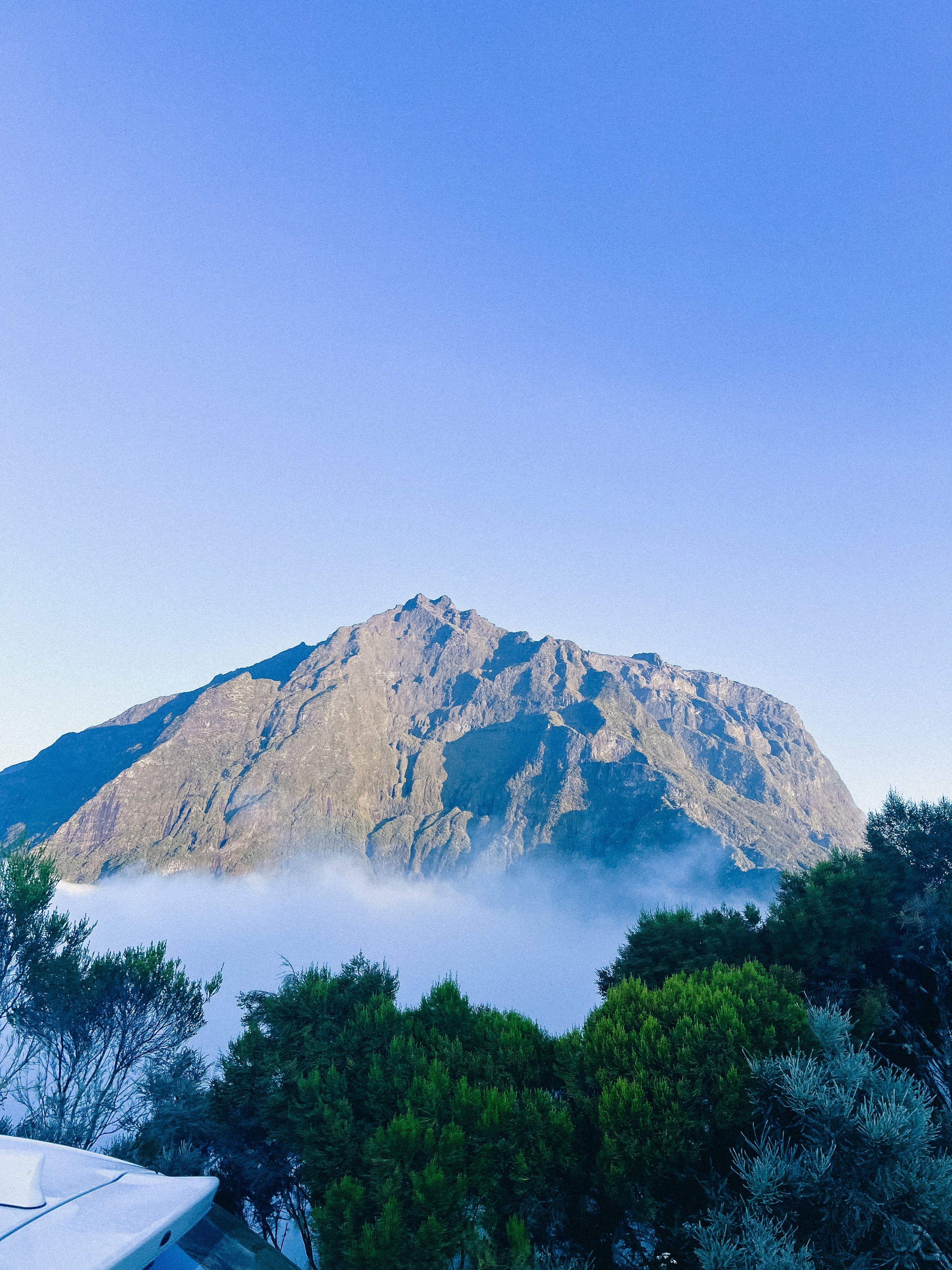 Montagne avec des nuages en bas et des arbres verts au premier plan, ciel clair.