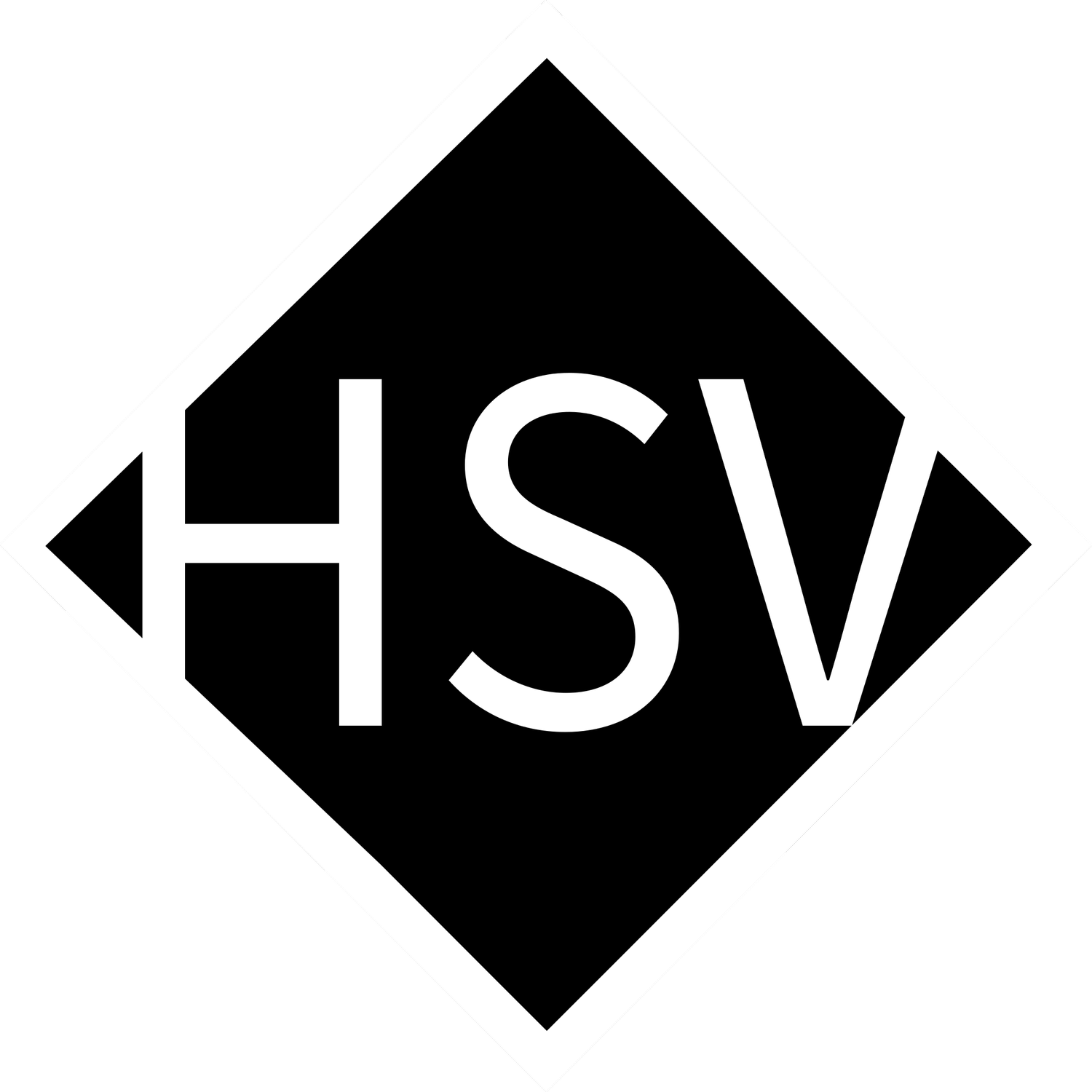 Hudson Street Ventures