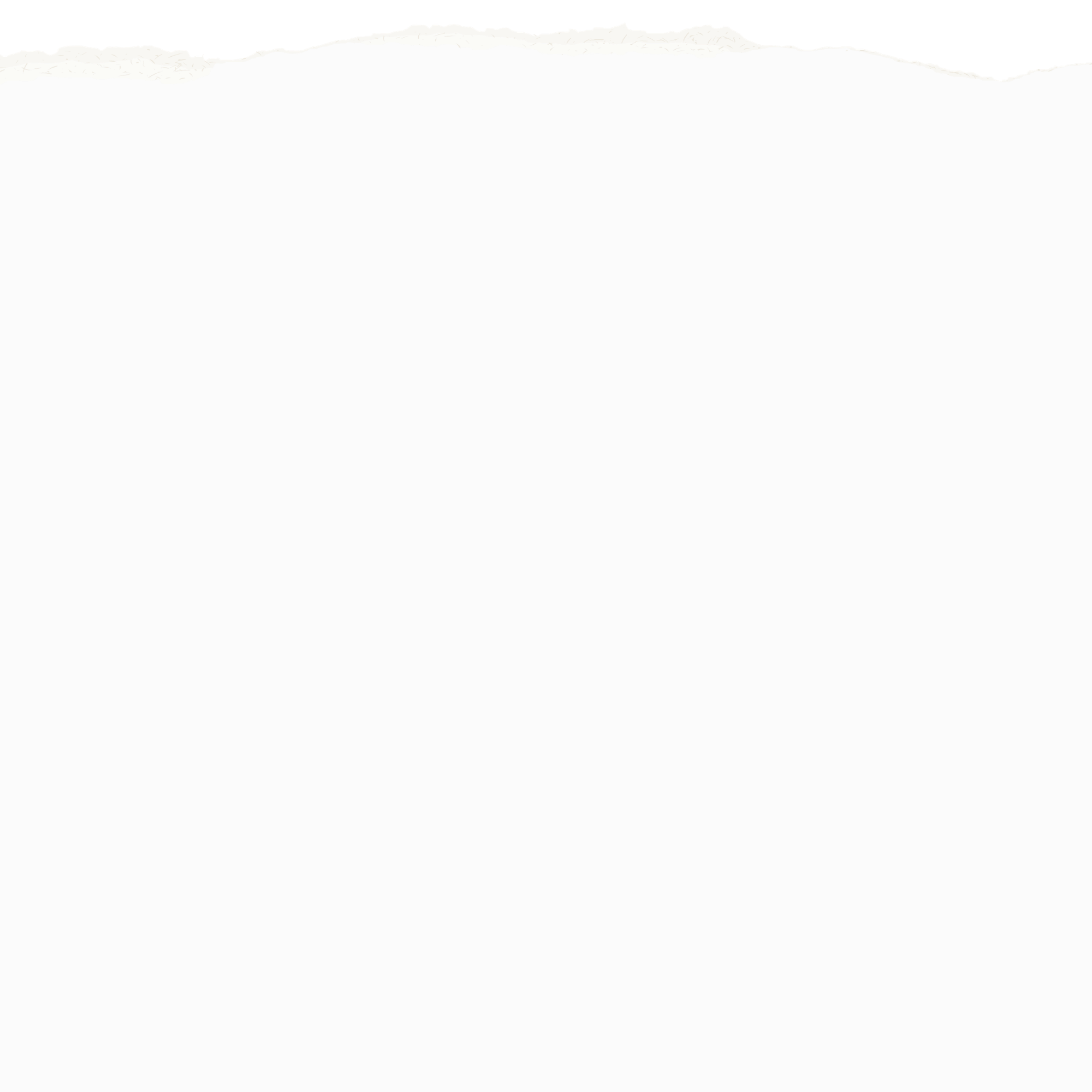 A torn piece of paper with jagged edges, showing a black background behind it.