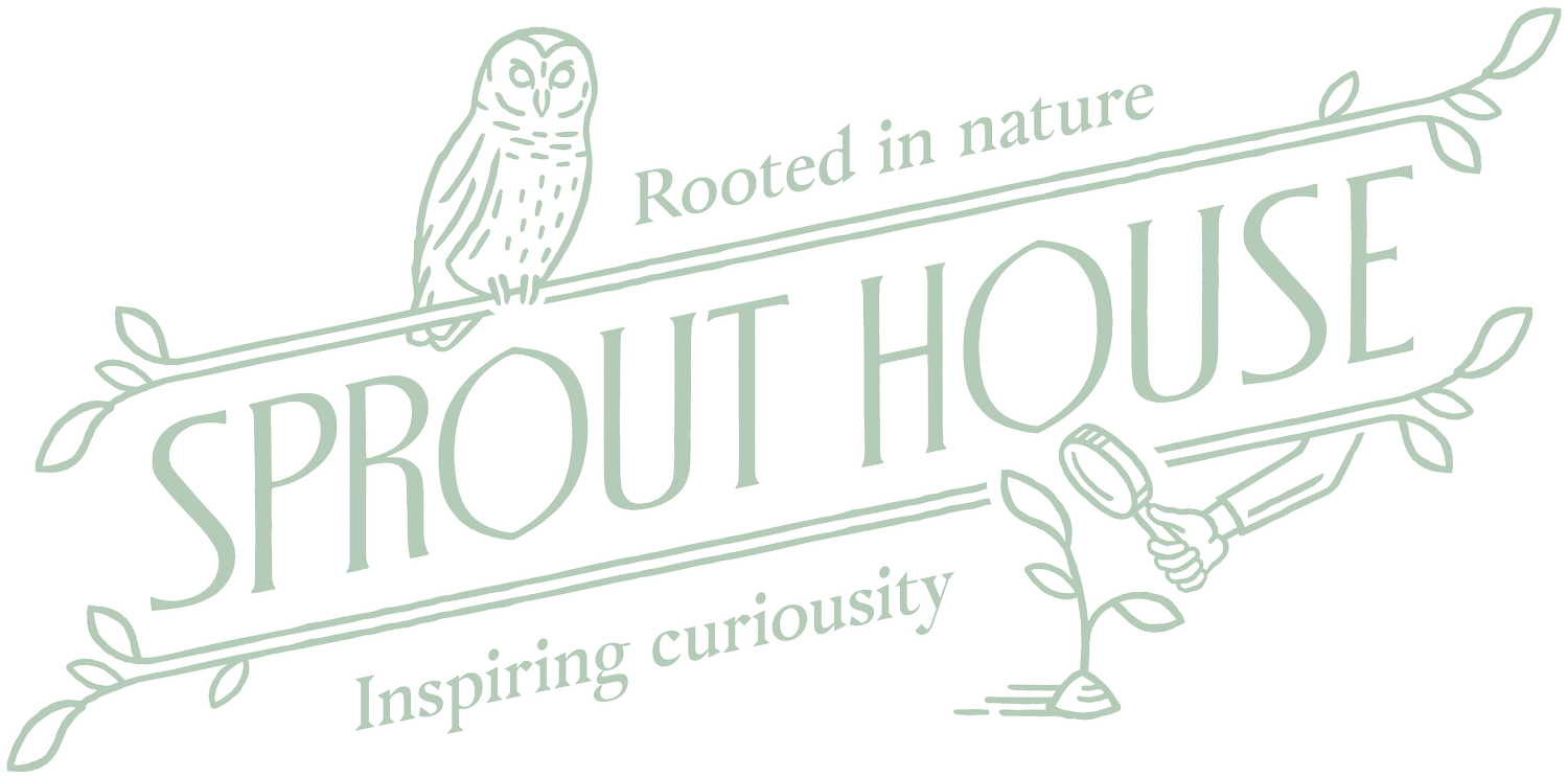 Sprout House School