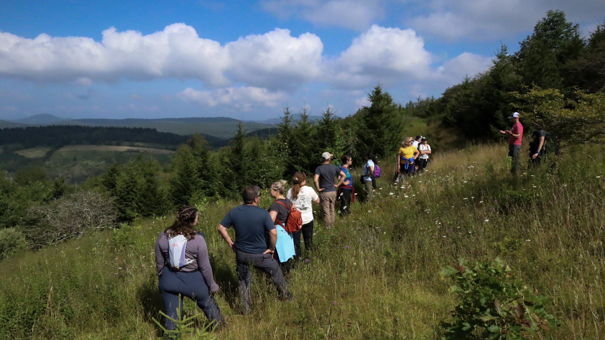 Group hiking in the mountains