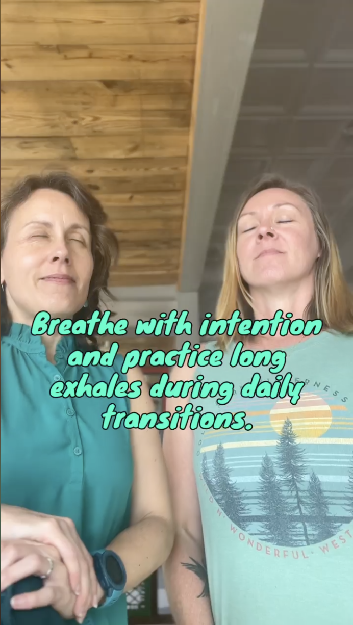 Building a Consistent Mindfulness Practice