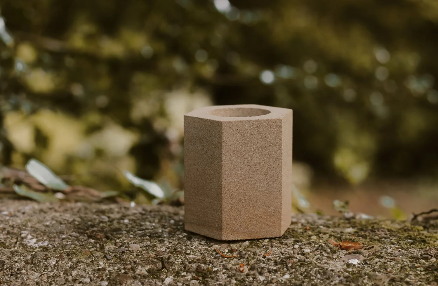 Small hexagon garden planter.jpg