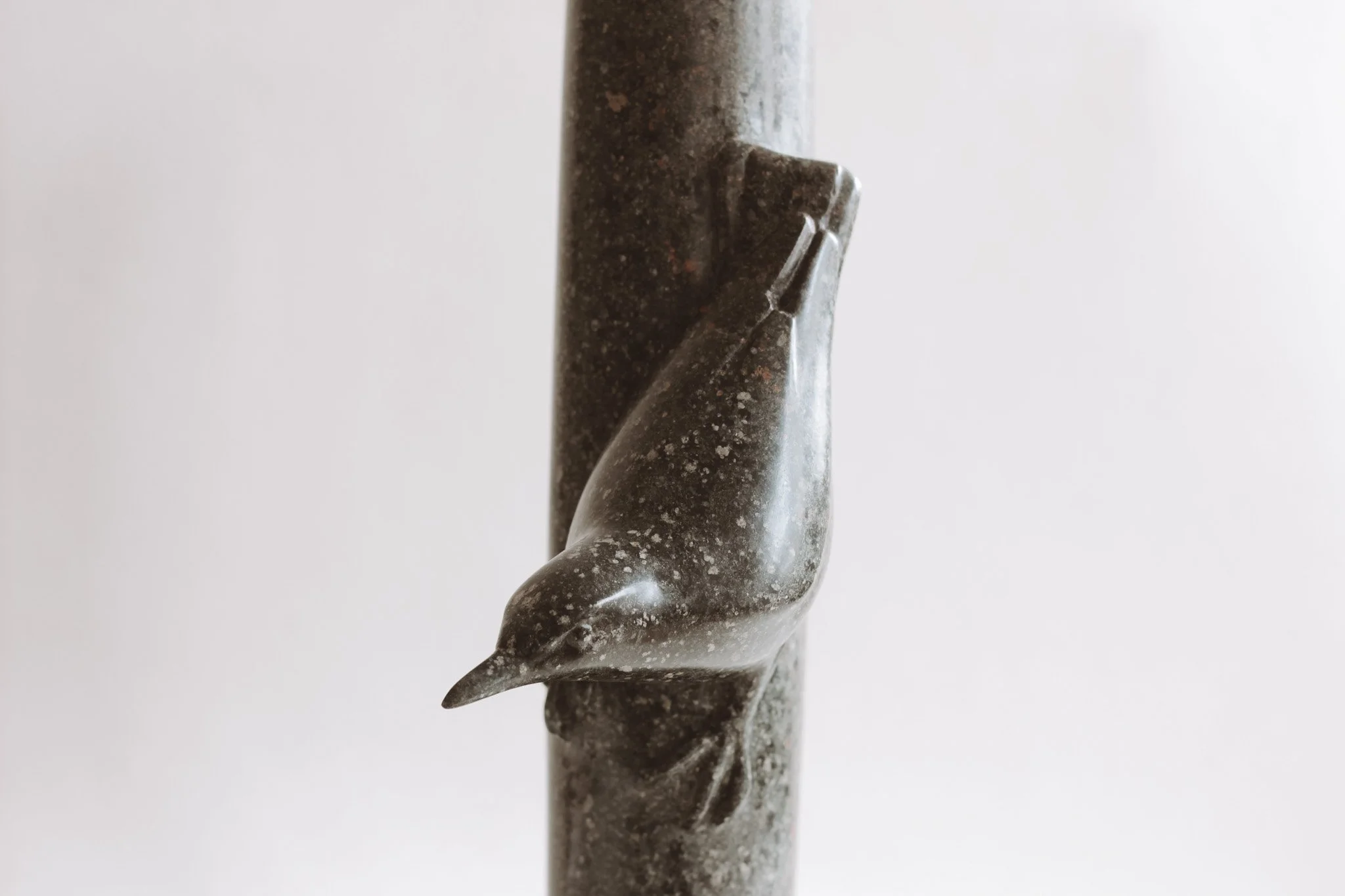 The old Sycamore tree &amp; its birds