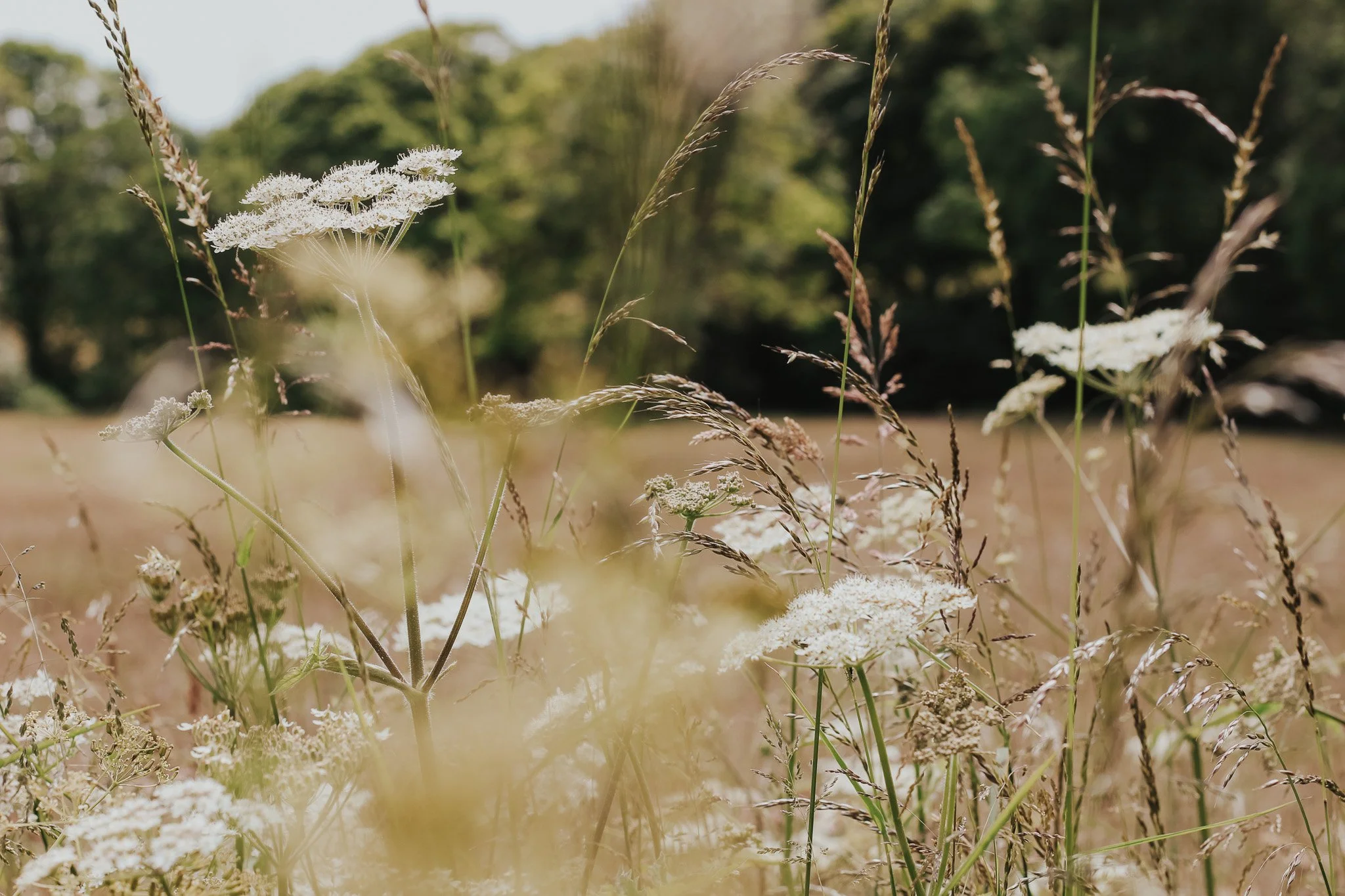 It’s easy to miss them