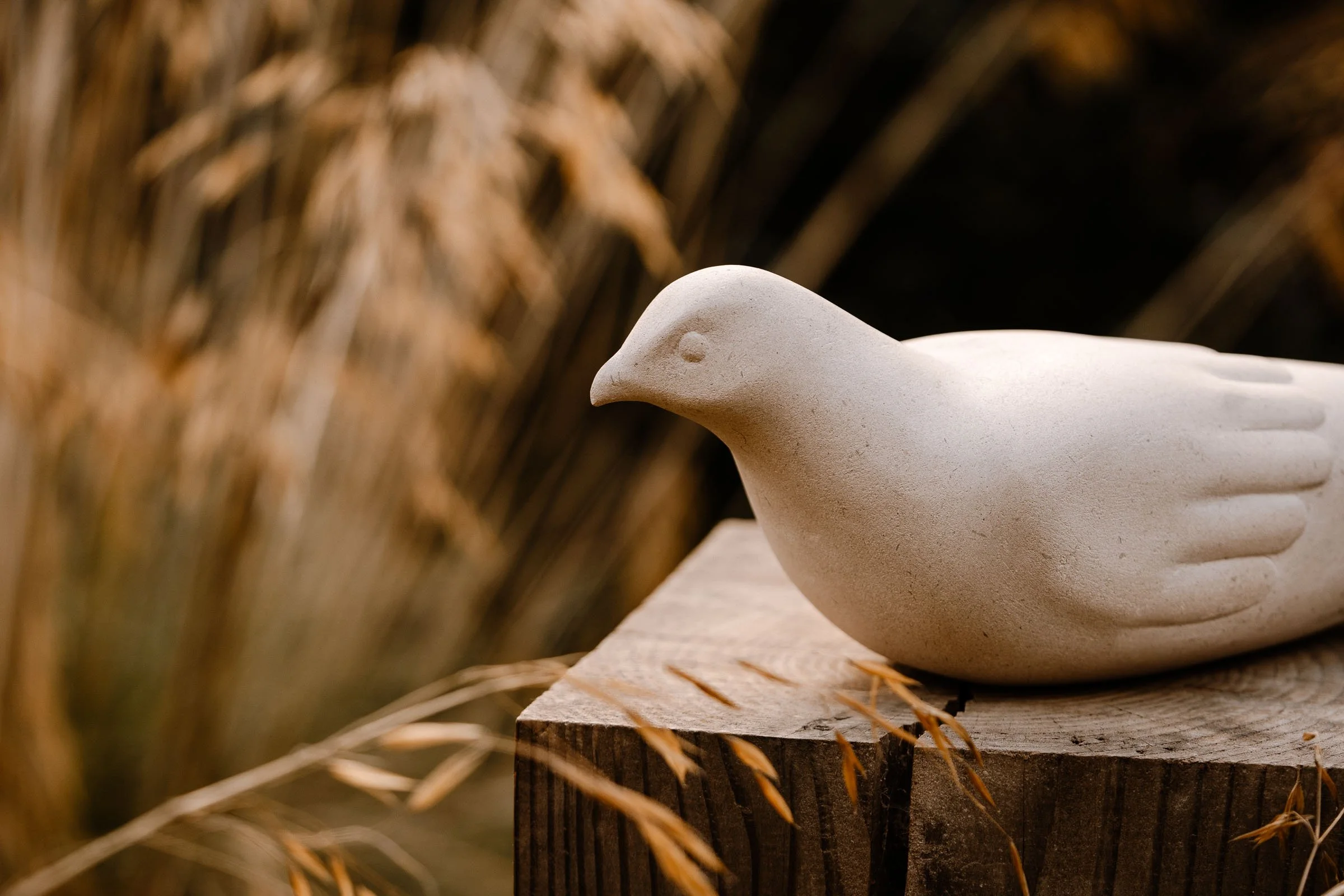 Garden Photos - Web Size-133.jpg