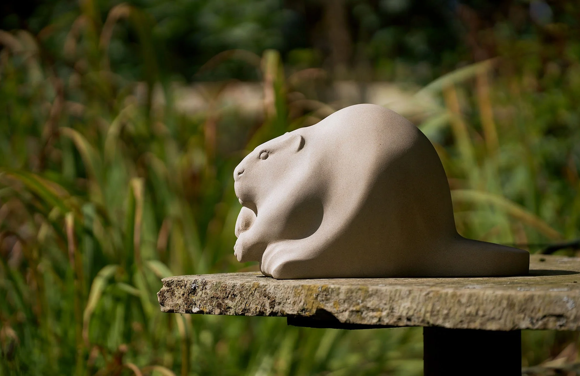 Beaver – a sculpture rooted in Wild Place