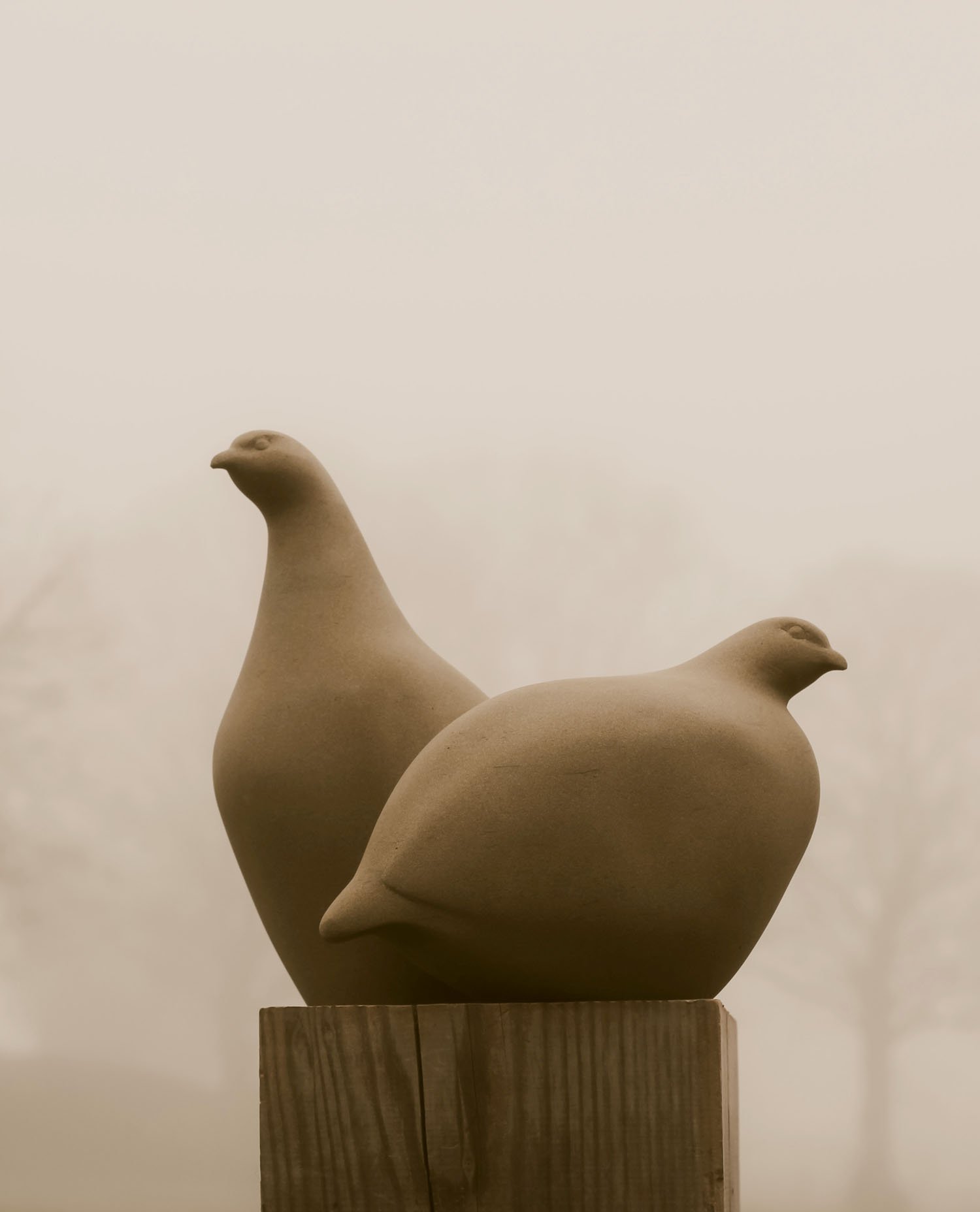 A bespoke Grey Partridge sculpture, hand carved as a pair