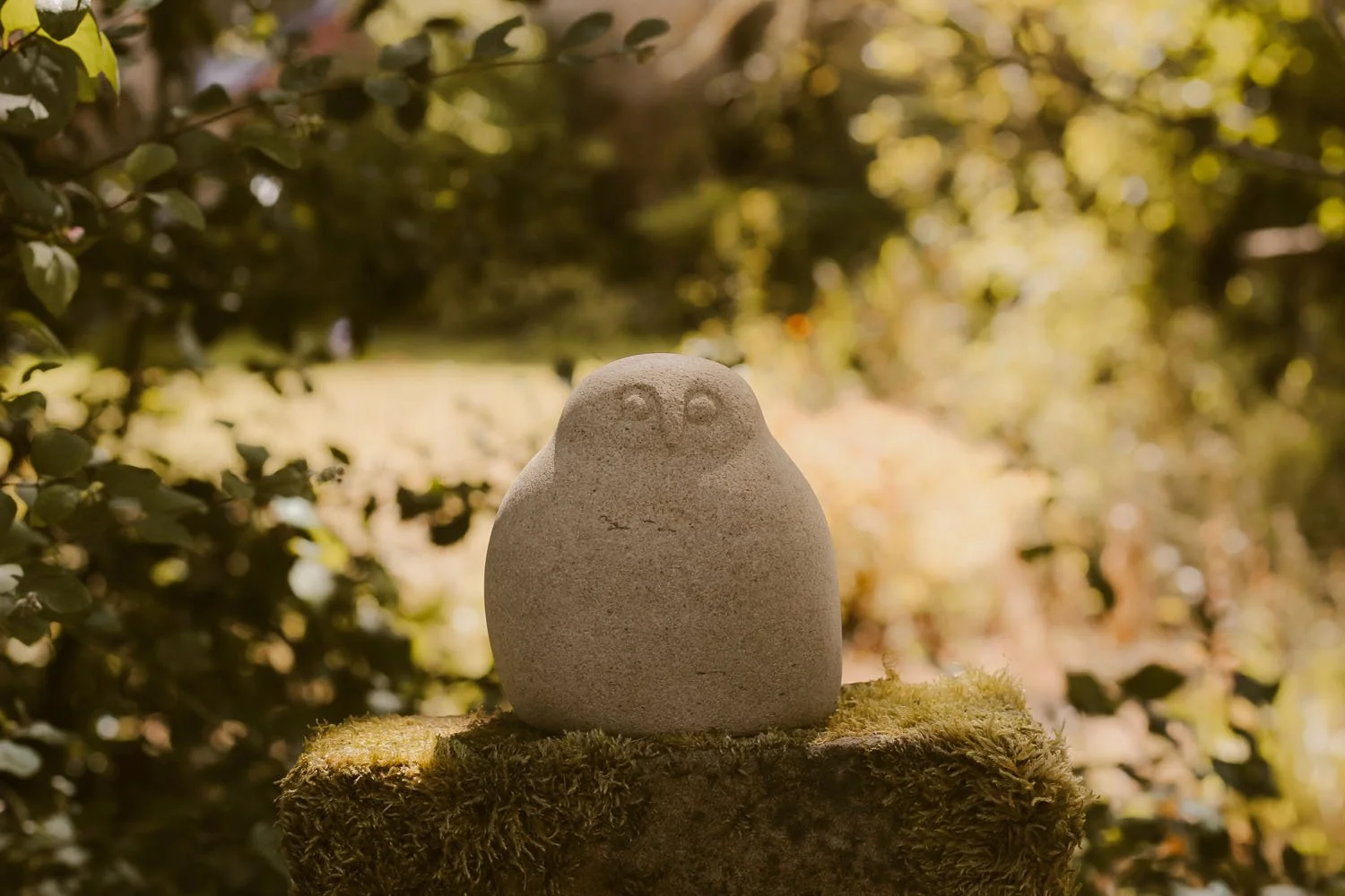 Squatty Owl.jpg