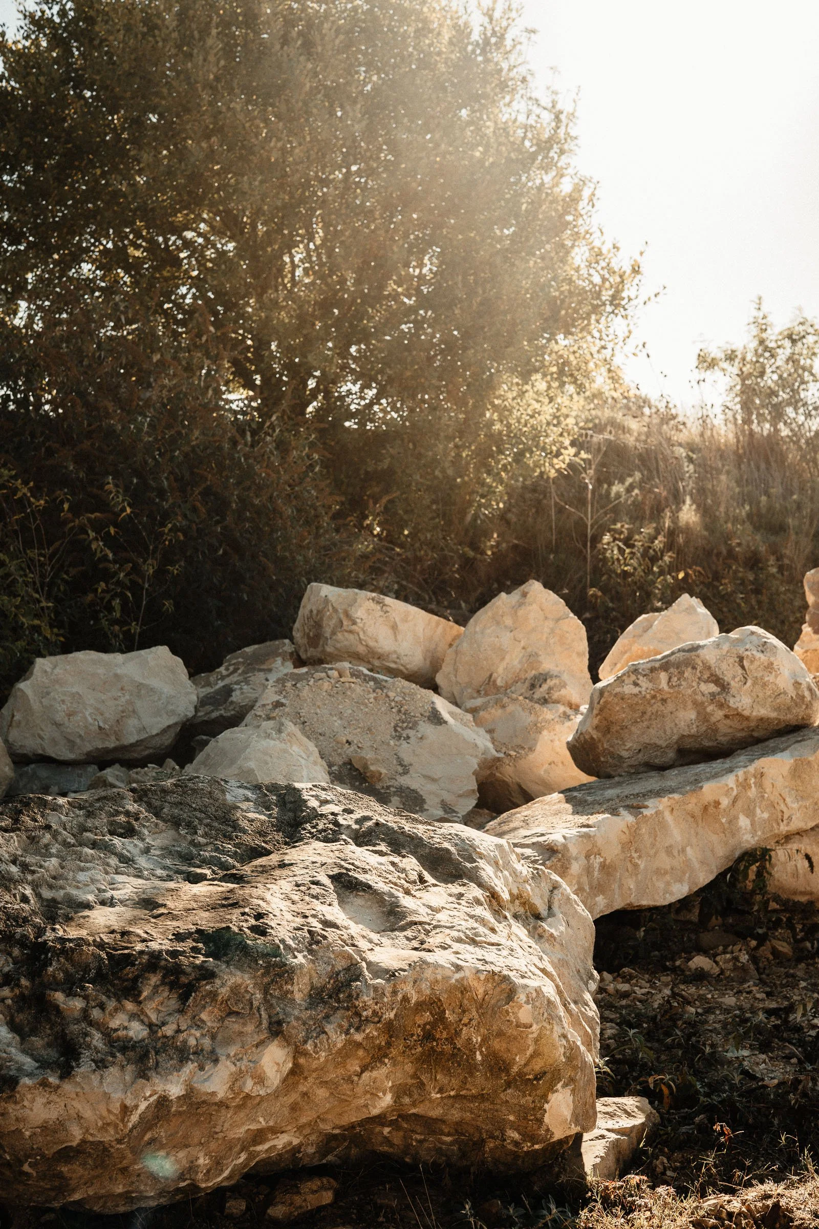 Large rocks and boulders in the foreground with sunlight filtering through trees in the background.