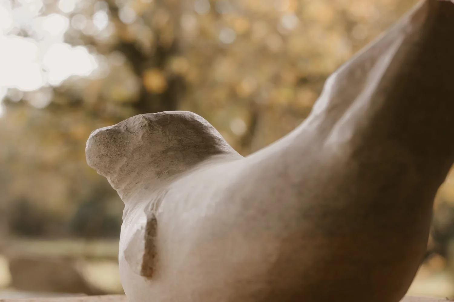 I notice wildlife behaviour shift in Autumn and it moves my attention to carve different forms.