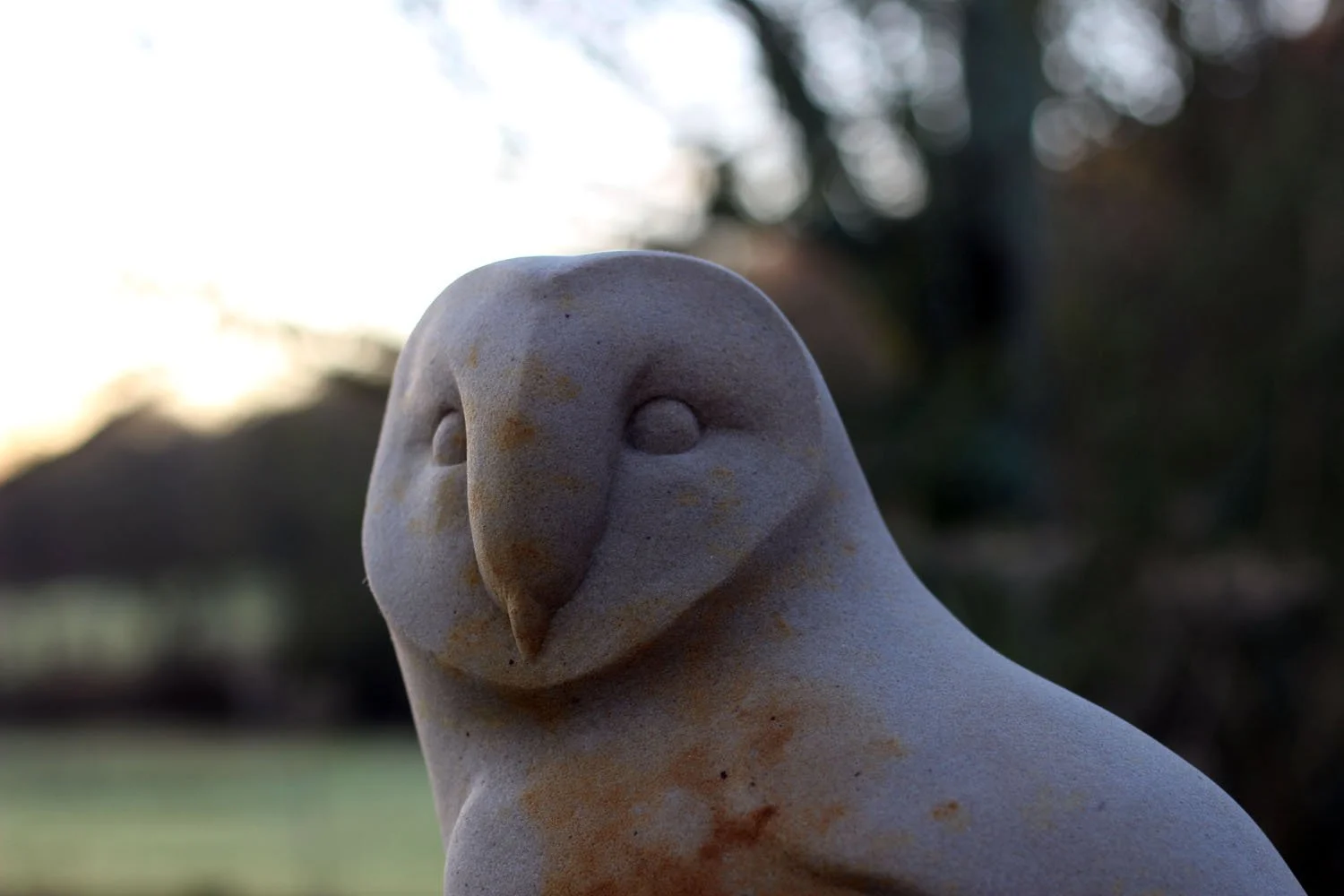 The beautiful wise face of a Barn Owl, detail of a sculpture commission