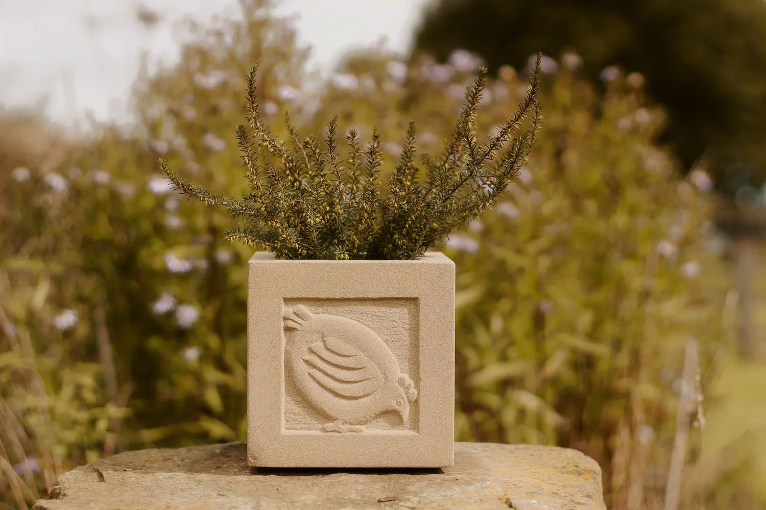 Stone carved planter - hen.jpg