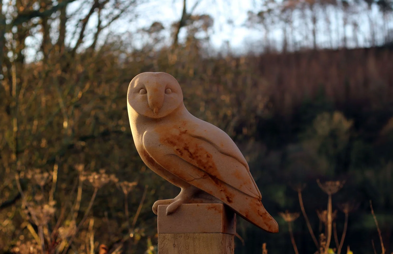 Barn Owl sculpture commissioned for a new garden to bring a watchful, steady presence