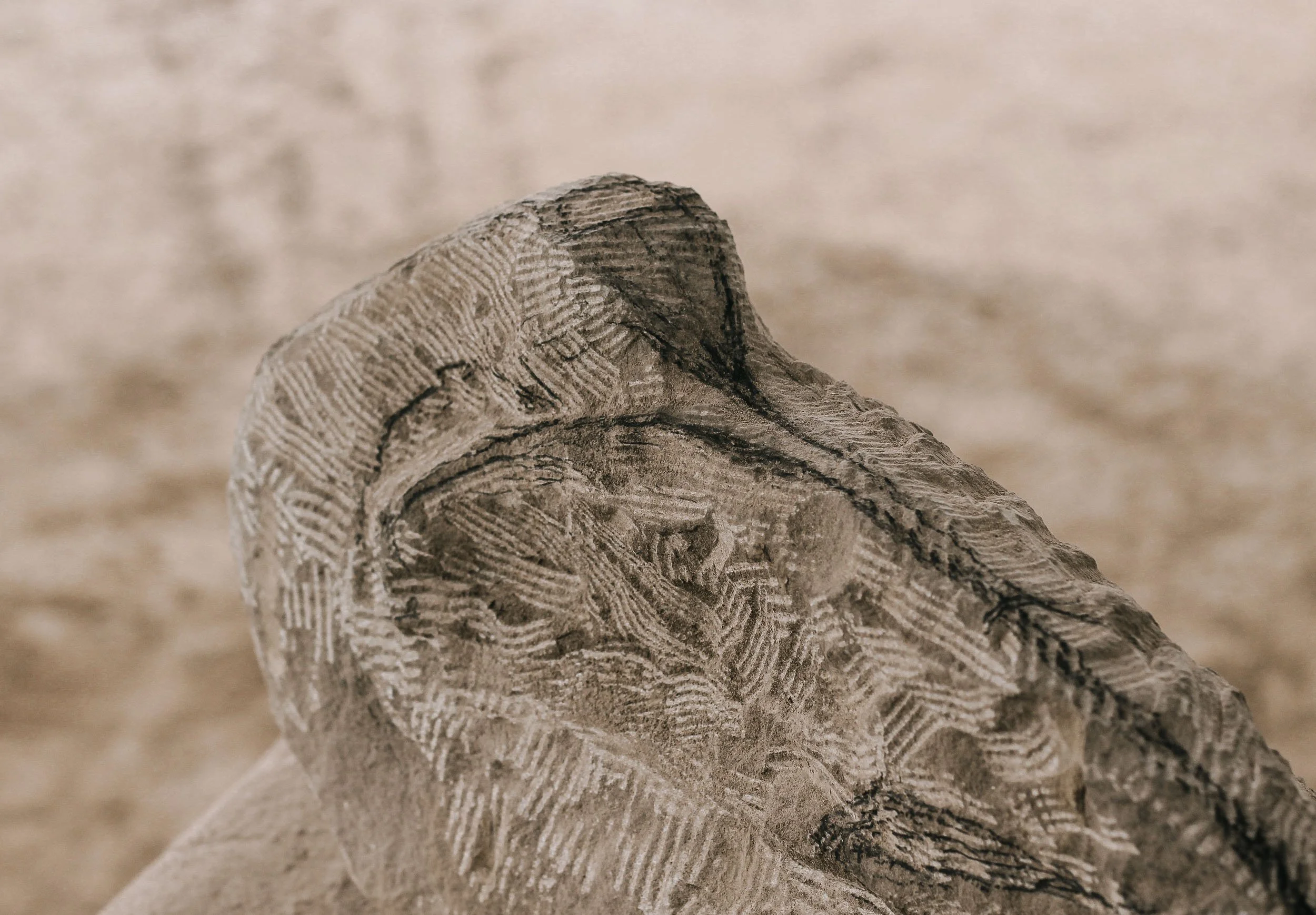 Sculpture of a bird carved in stone beginning to take shape