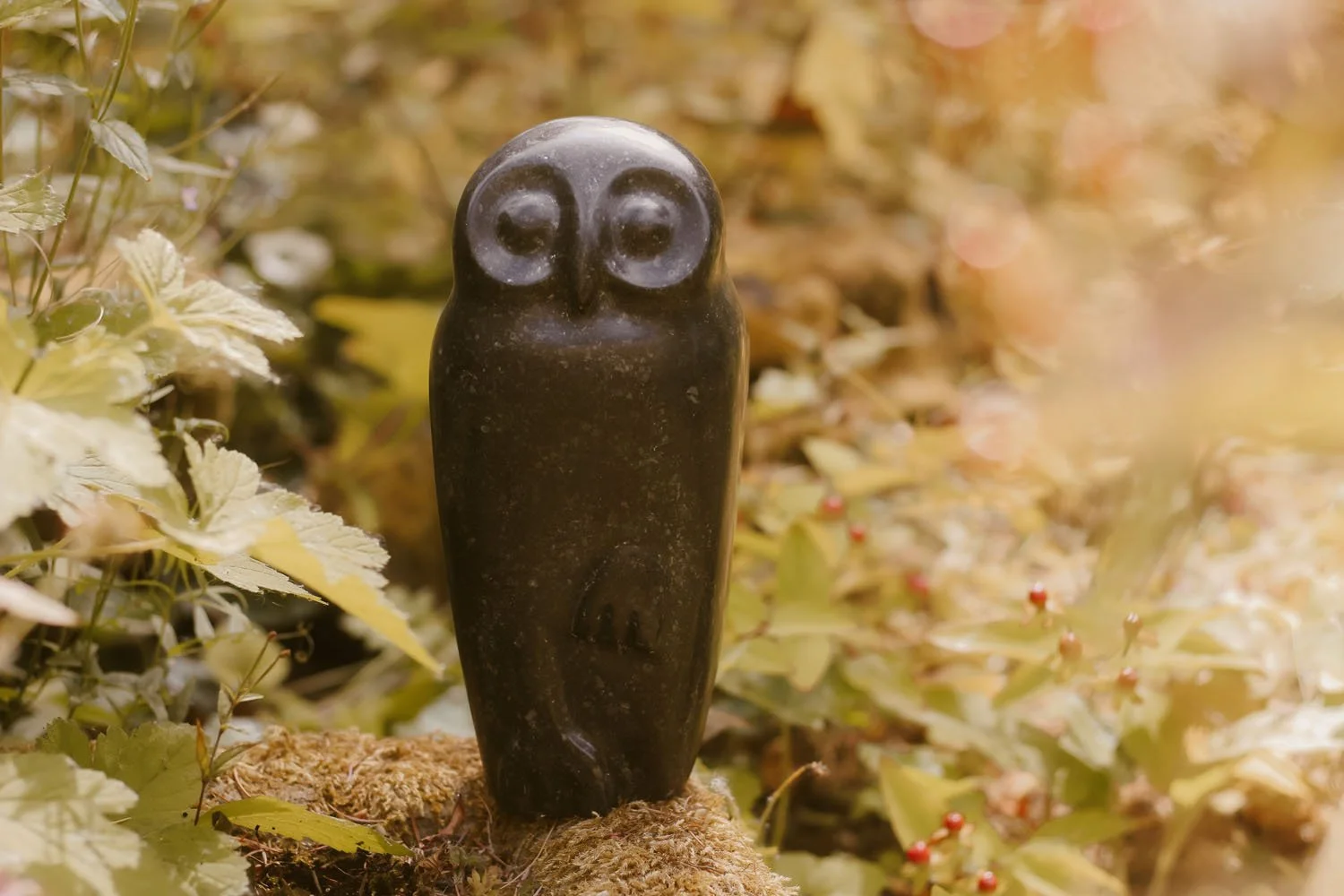 Kilkenny Owl