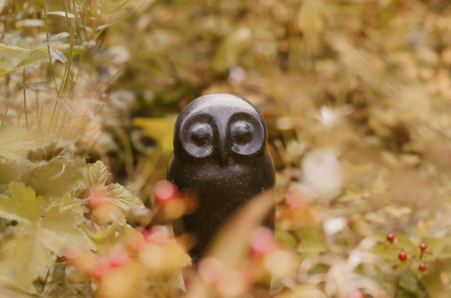 Kilkenny Owl sculpture in the garden.jpg