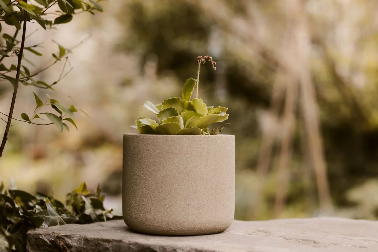 Circular stone planter carved in natural stone
