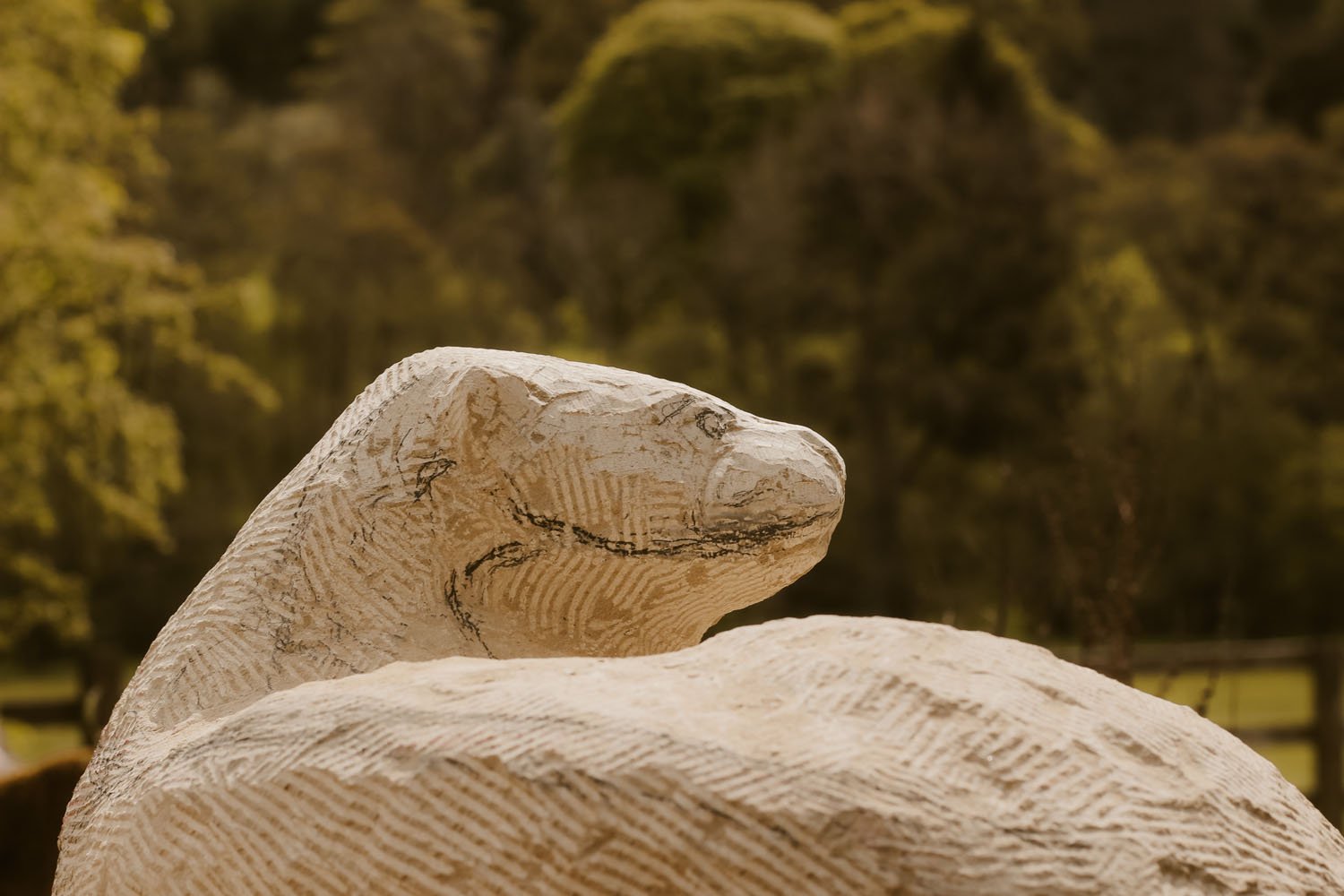 Work begins on shaping the Otter - a stone sculpture commission for Hillsborough Castle
