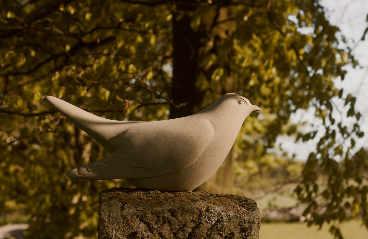 Cuckoo perched on a stone column.jpg