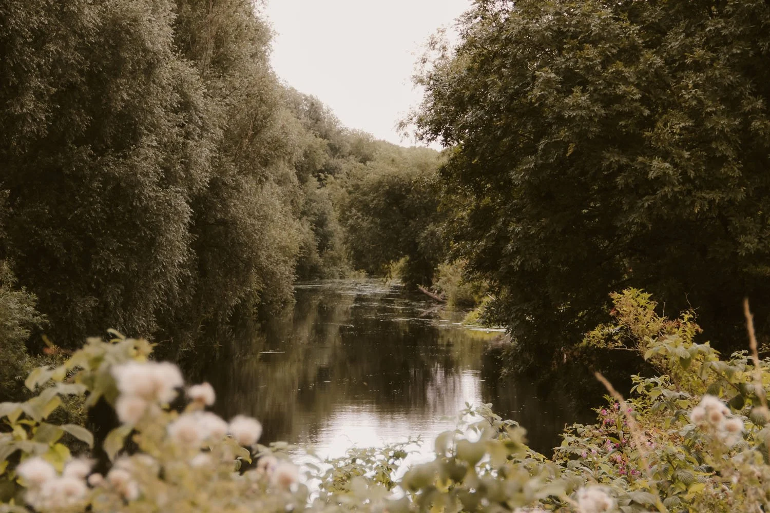 A view of the River Aire in Leeds