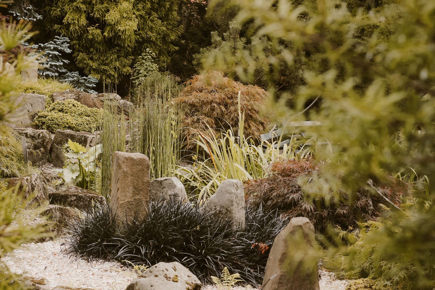 Rock and Water garden Sheffield Botanical Gardens