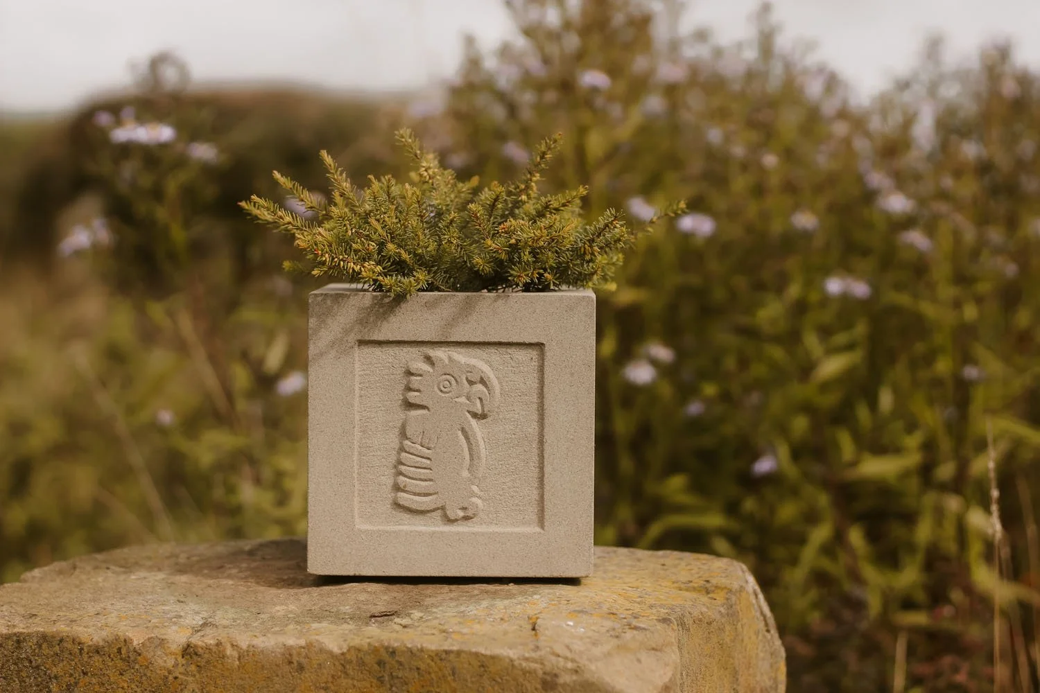Stone carved planter - bird.jpg