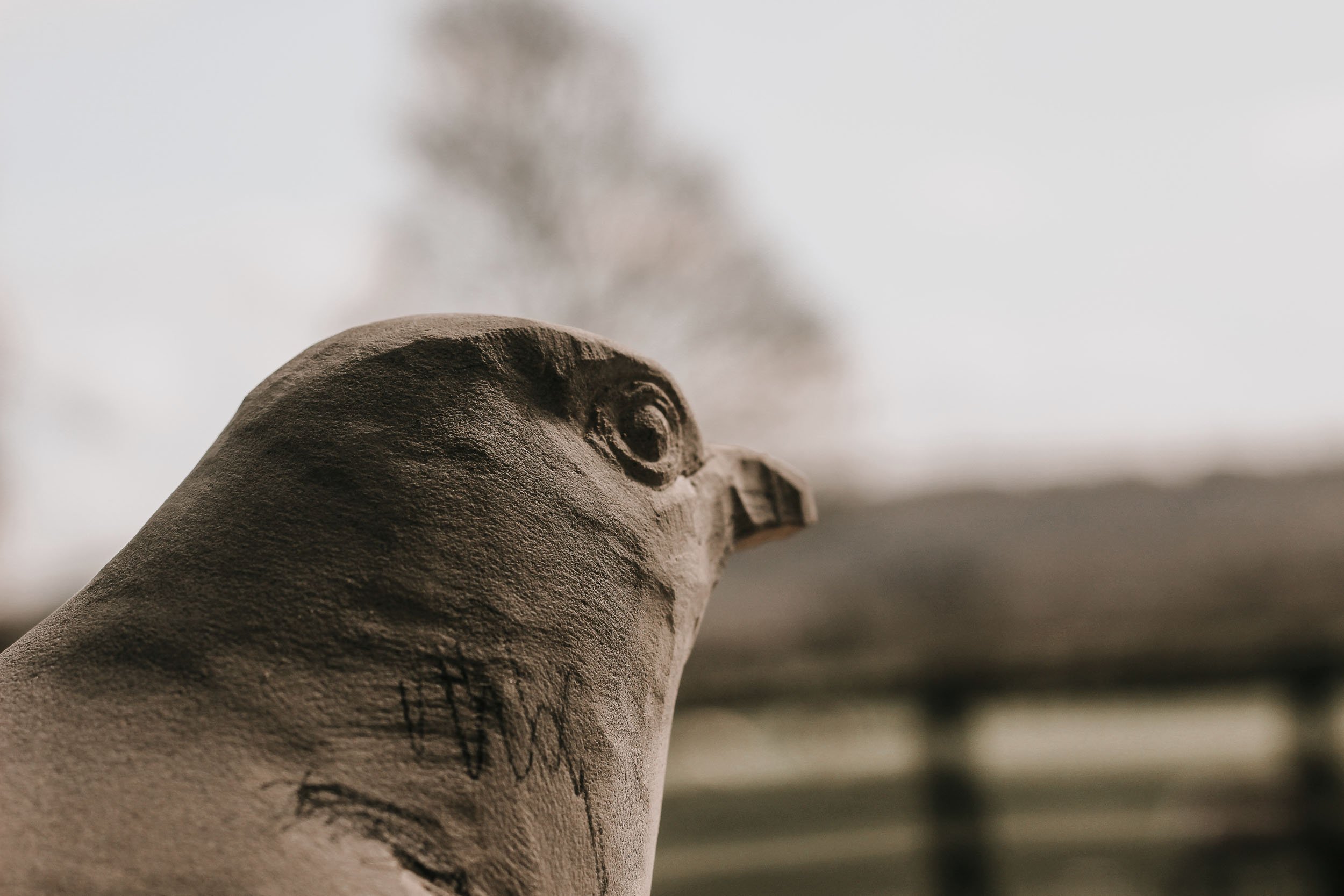 Spring birds beginning to emerge in stone