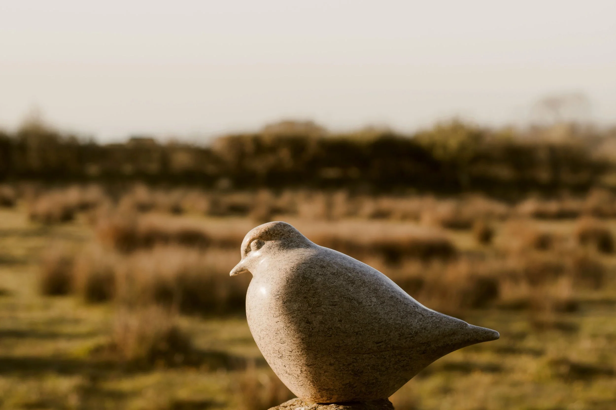 Golden Plover sculpture.jpg