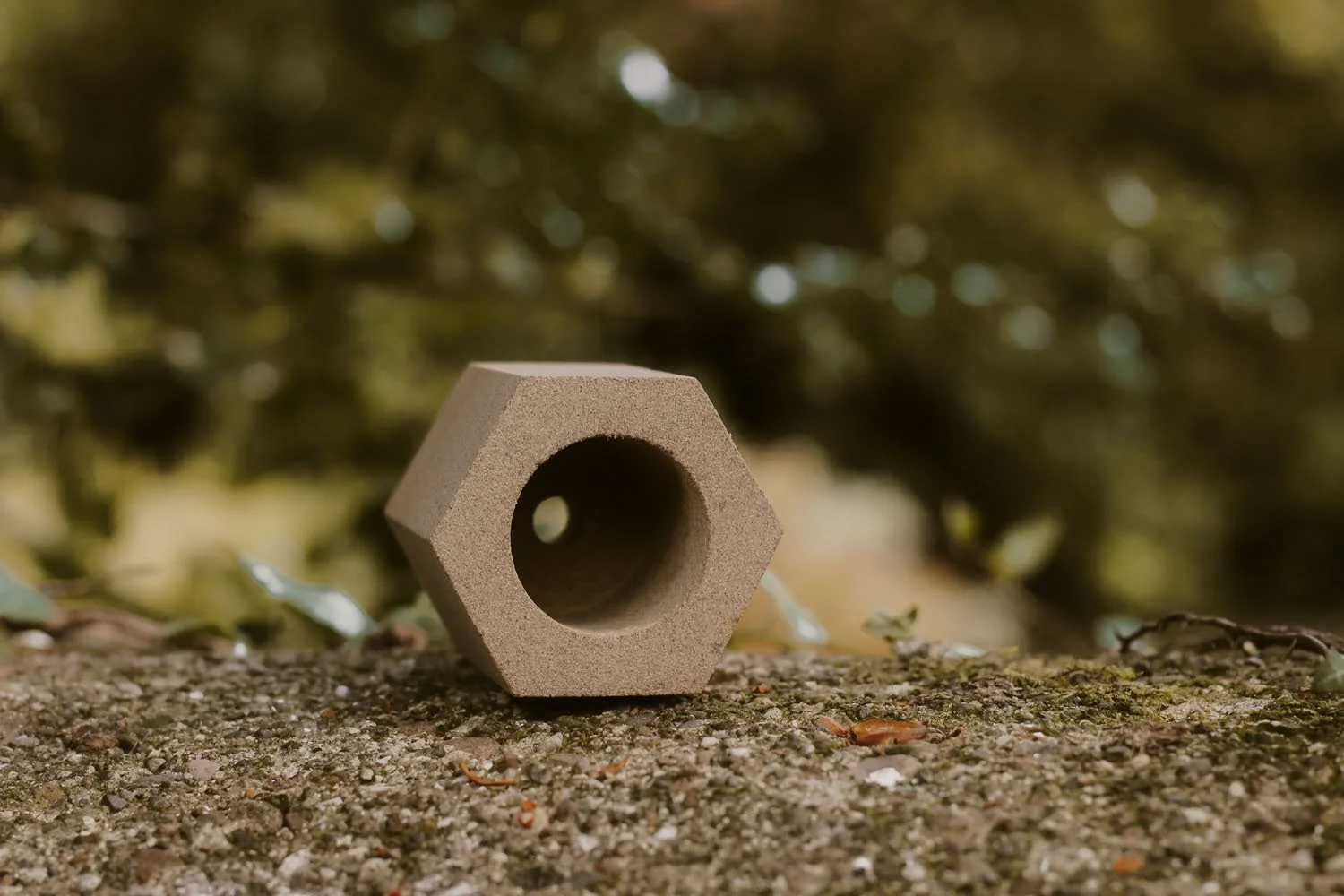 Garden potlet for tiny plants.jpg