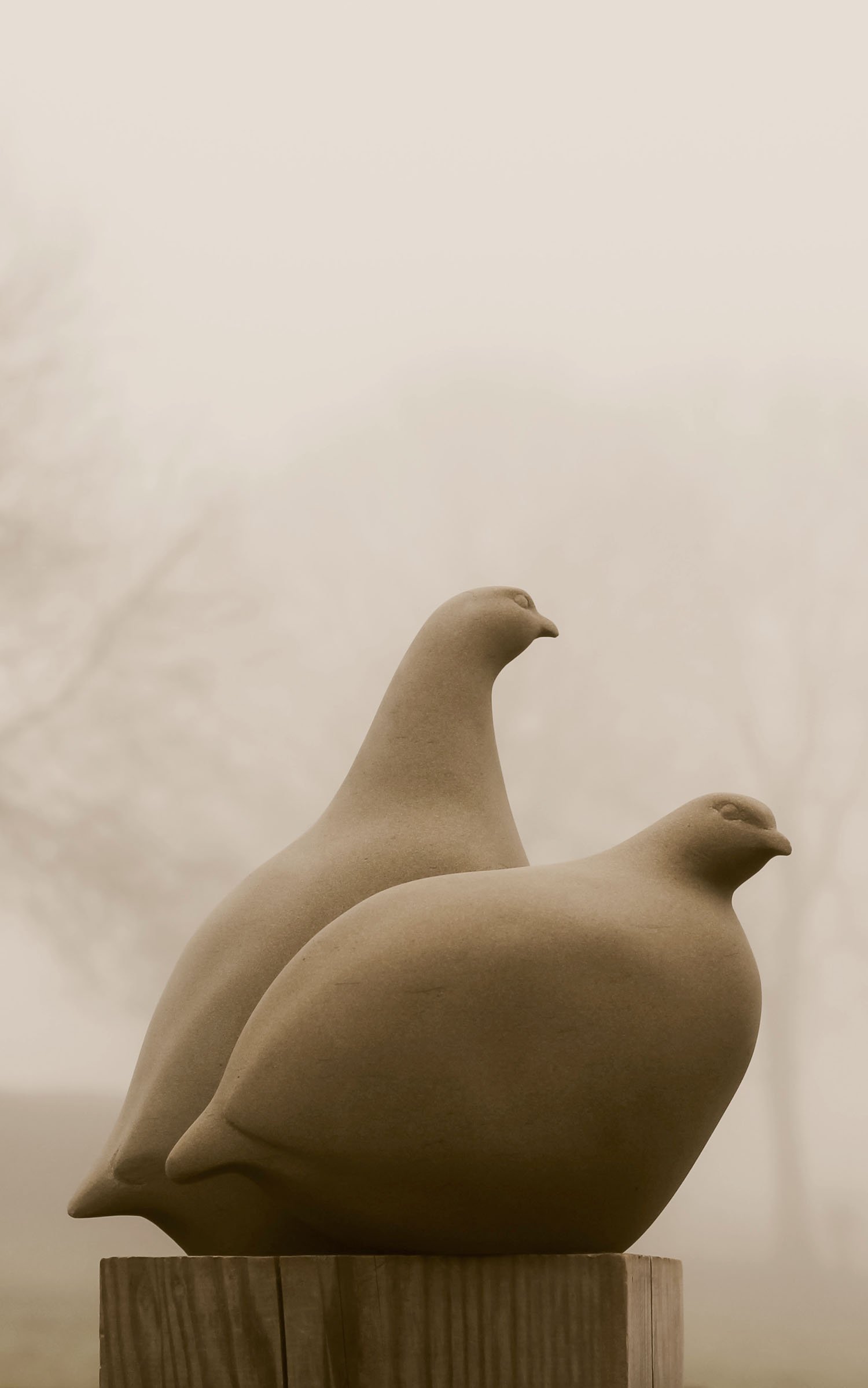 Grey Partridge sculpture, hand carved in stone  as a pair of birds