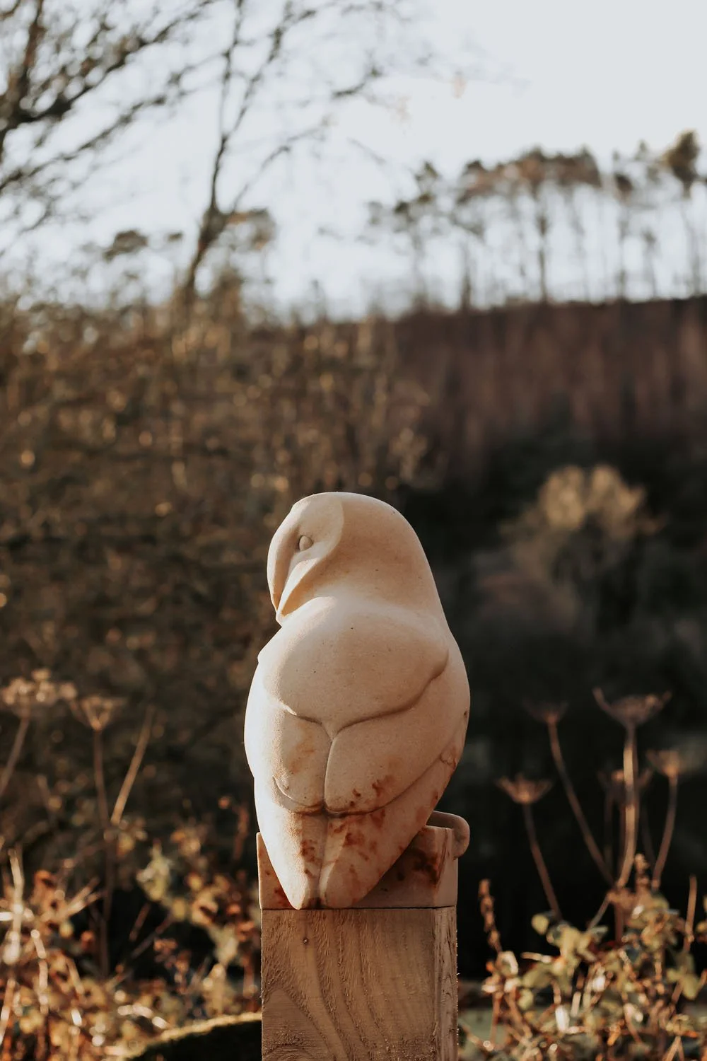 Barn Owl sculpture carved in sandstone - the owl is perched on a post looking intently over its shoulder