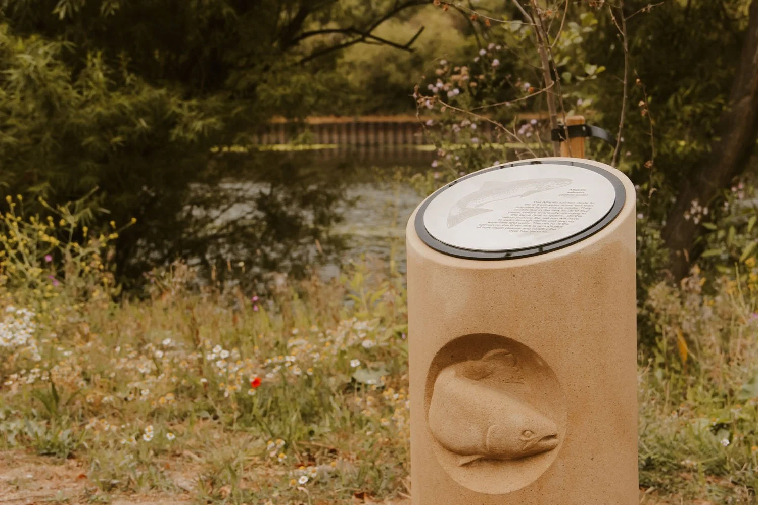 Stone column depicting a Salmon which are found in the River Aire