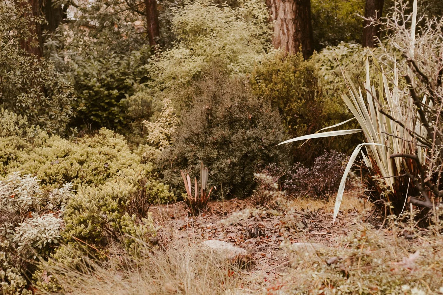 Marking the spot in the New Zealand Garden where the sculpture will be placed