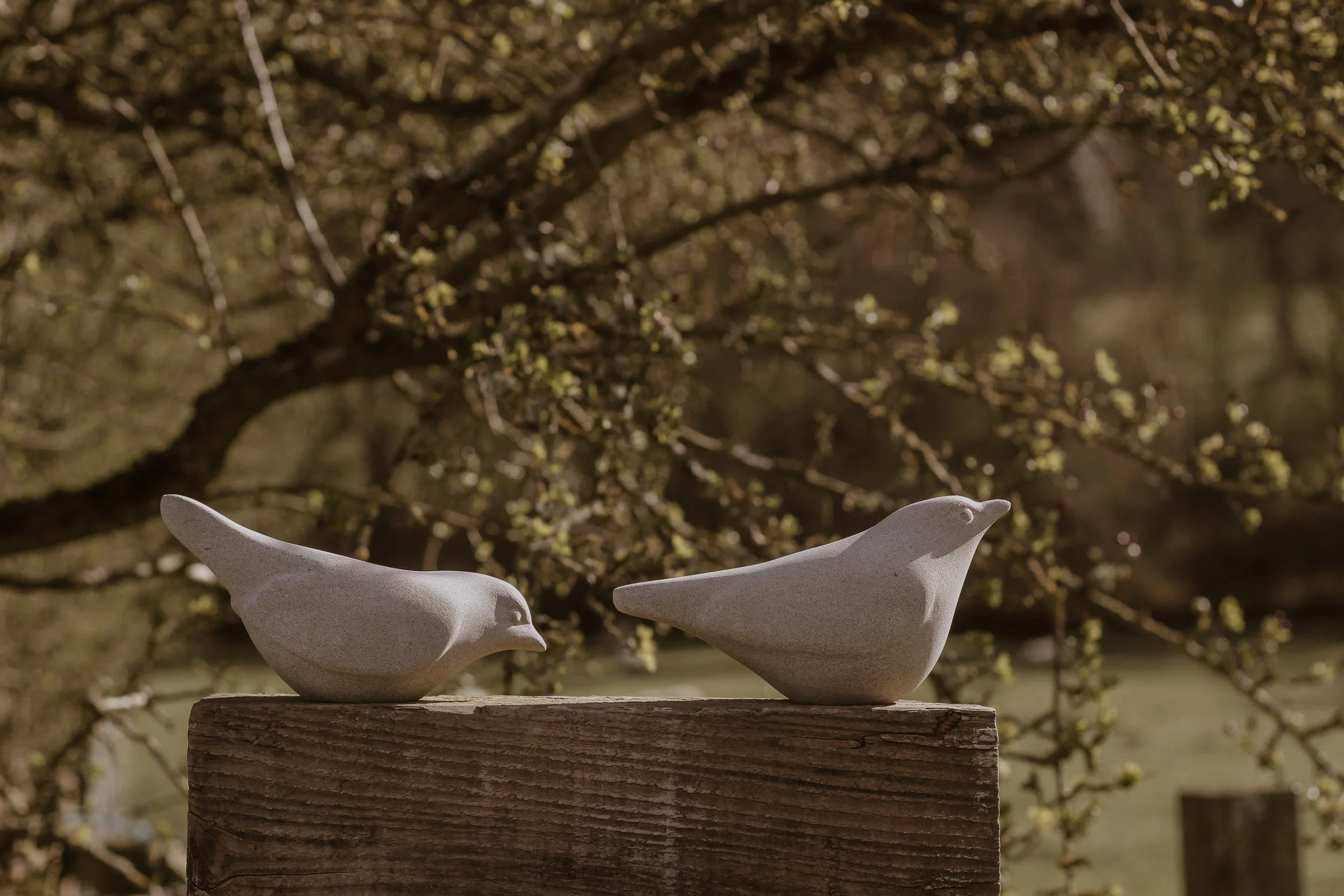 A garden that holds more than plants