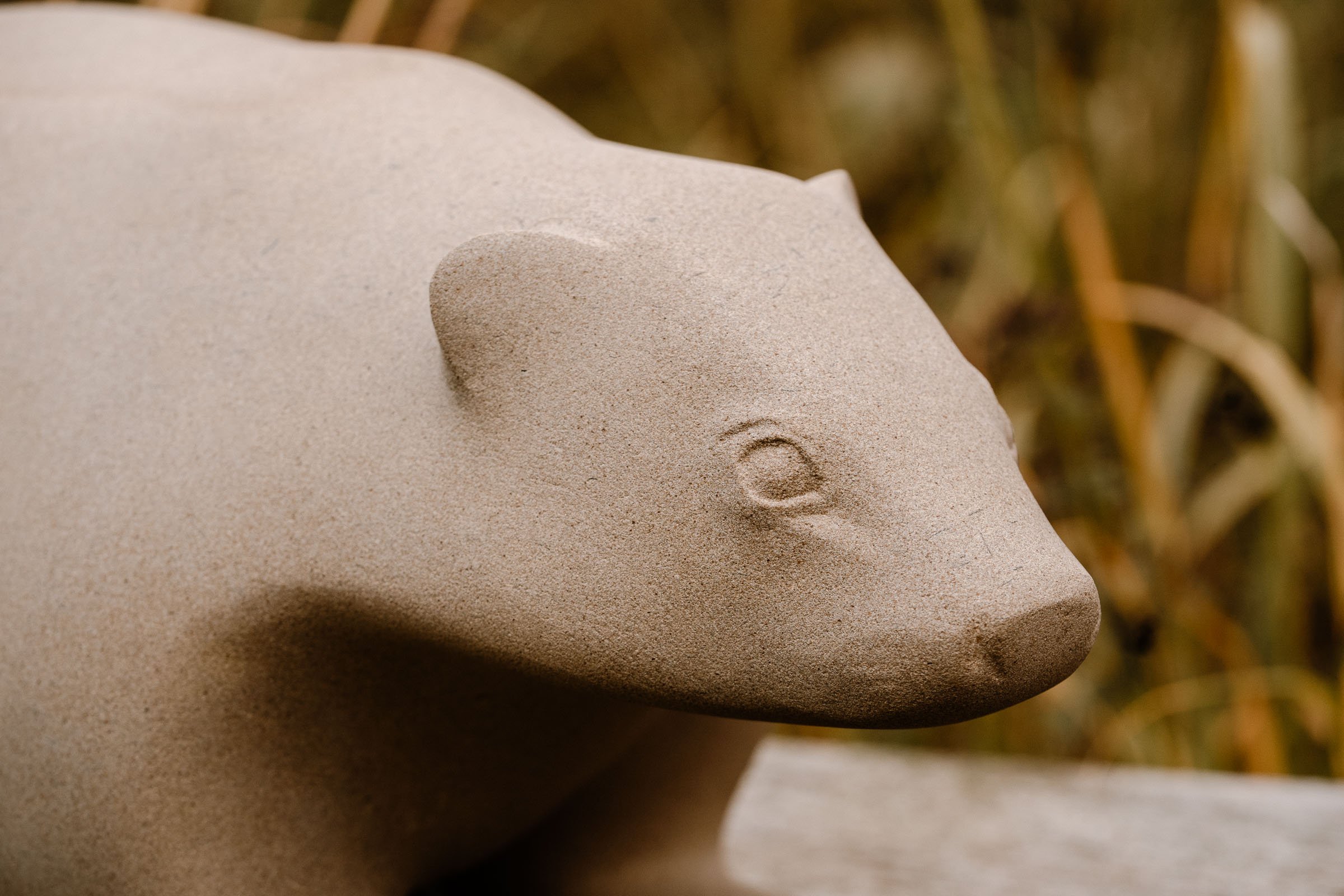 Garden Photos - Web Size-267.jpg