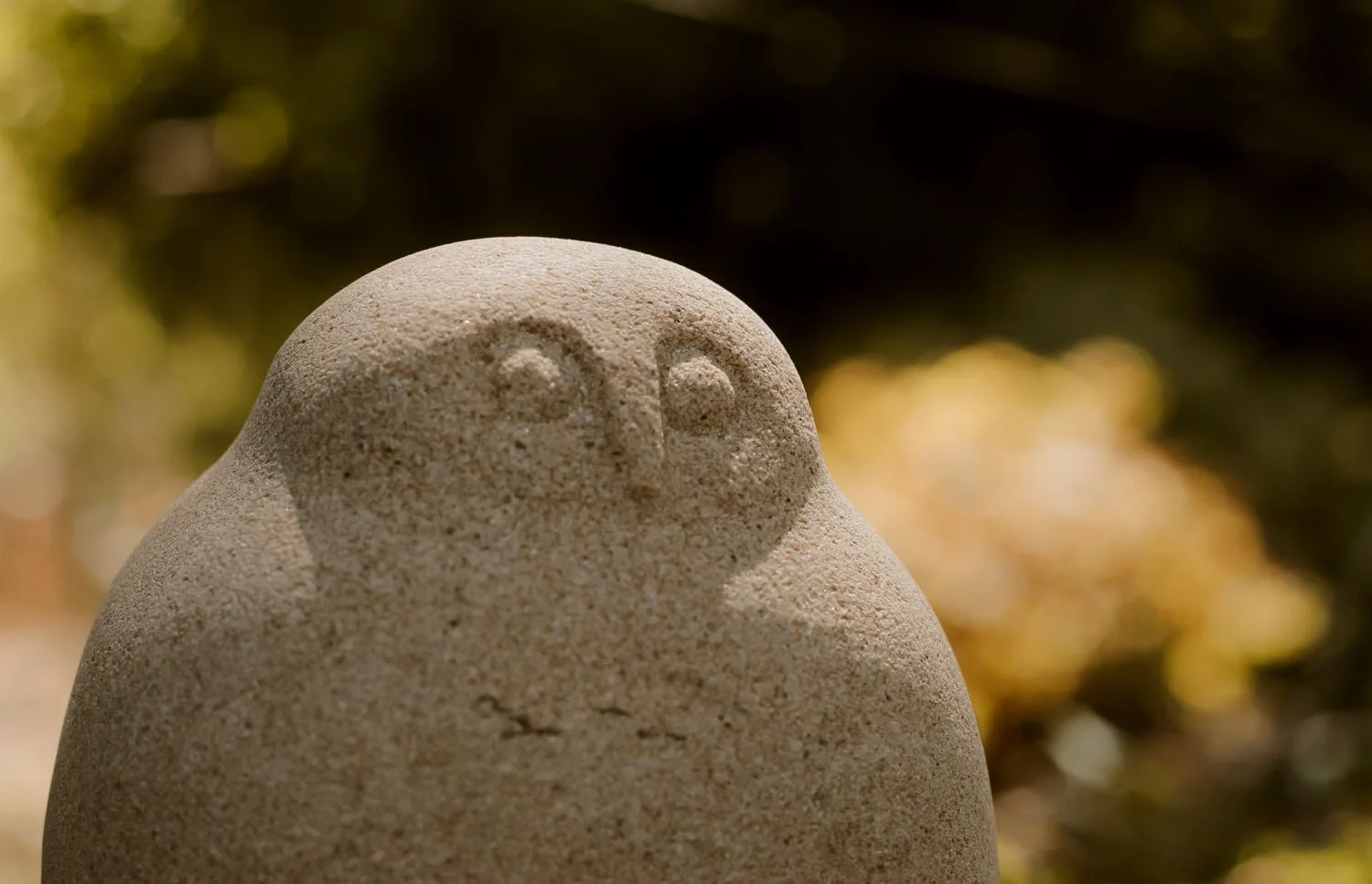 Squatty Owl detail.jpg