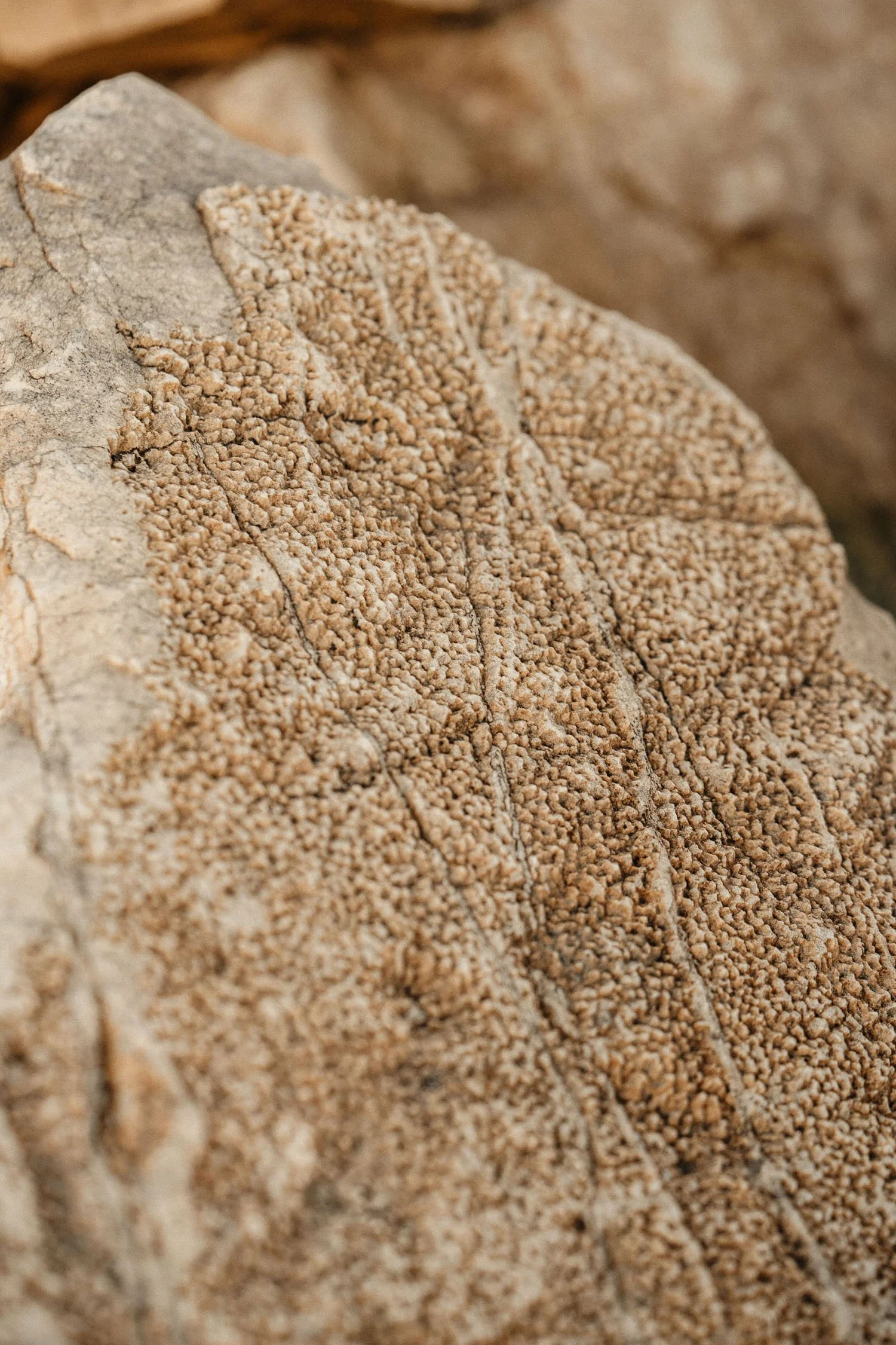 The process of selecting stone for sculpture is learned over many years
