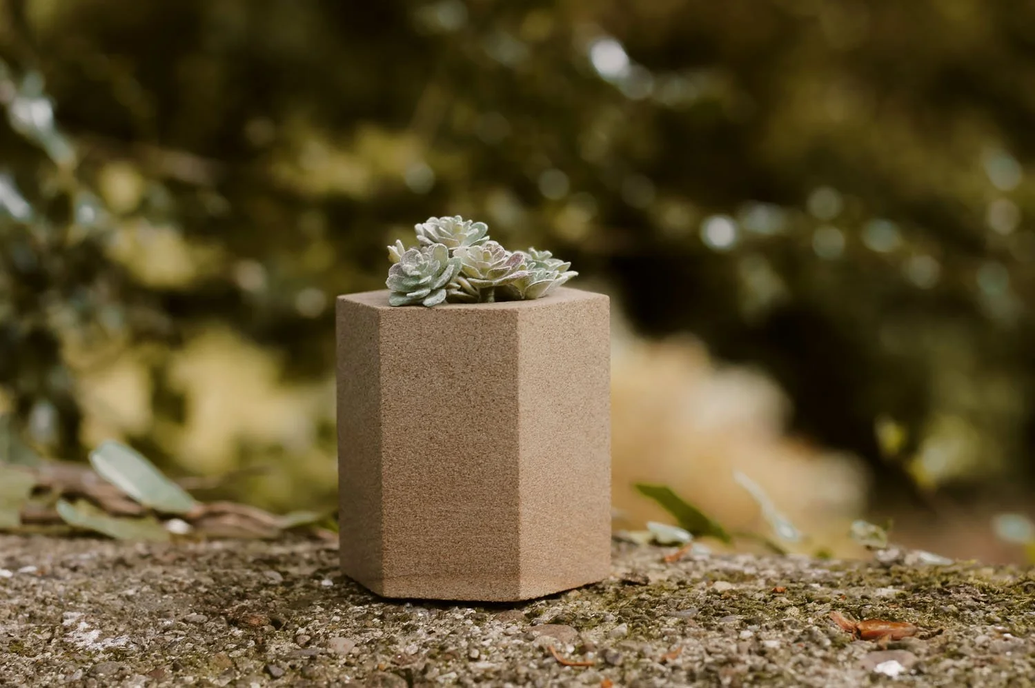 Garden Plant Pot - Hexagon