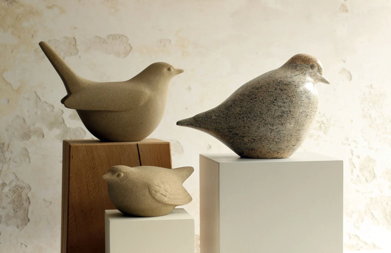 The Brilliance of Birds