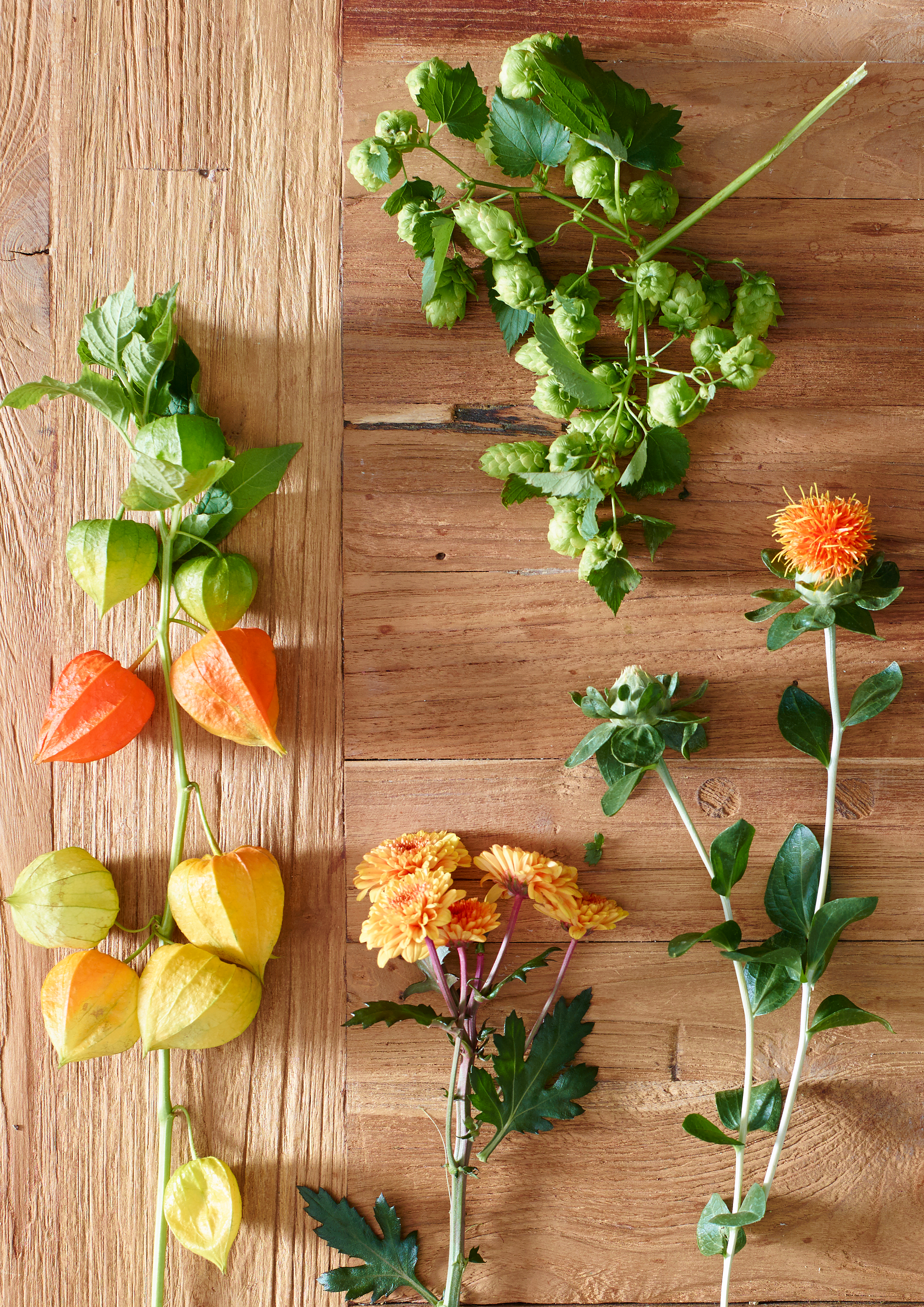 Vier unterschiedliche Blumen- und Pflanzenarrangements, die von links nach rechts auf einem Holztisch liegen. Die erste ist eine bunte, physalis-ähnliche Pflanze mit orangefarbenen, gelben und grünen Schirmen. Die zweite ist ein grüner Zweig mit kleinen, grünen Beeren und großen grünem Laub. Die dritte ist ein Stiel mit mehrfarbigen Blüten in Orange und Gelb. Die vierte ist ein Zweig mit dunkelgrünen, länglichen Blättern und einer orangefarbenen, stacheligen Blume.