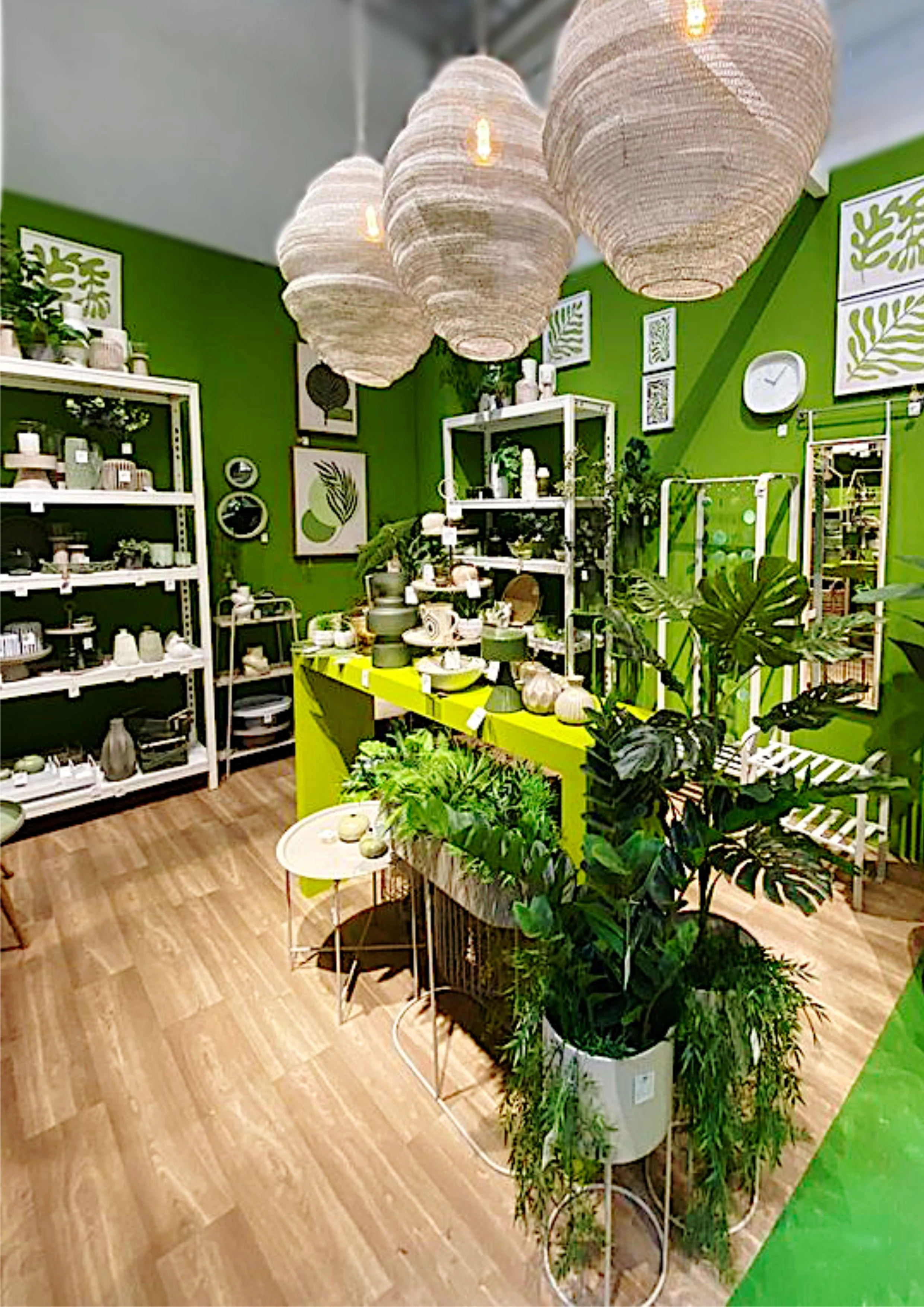 Innenraum eines Shops mit grünen Wänden, Pflanzen, weißen Regalen und hellen Lampenschirmen aus Pappe.