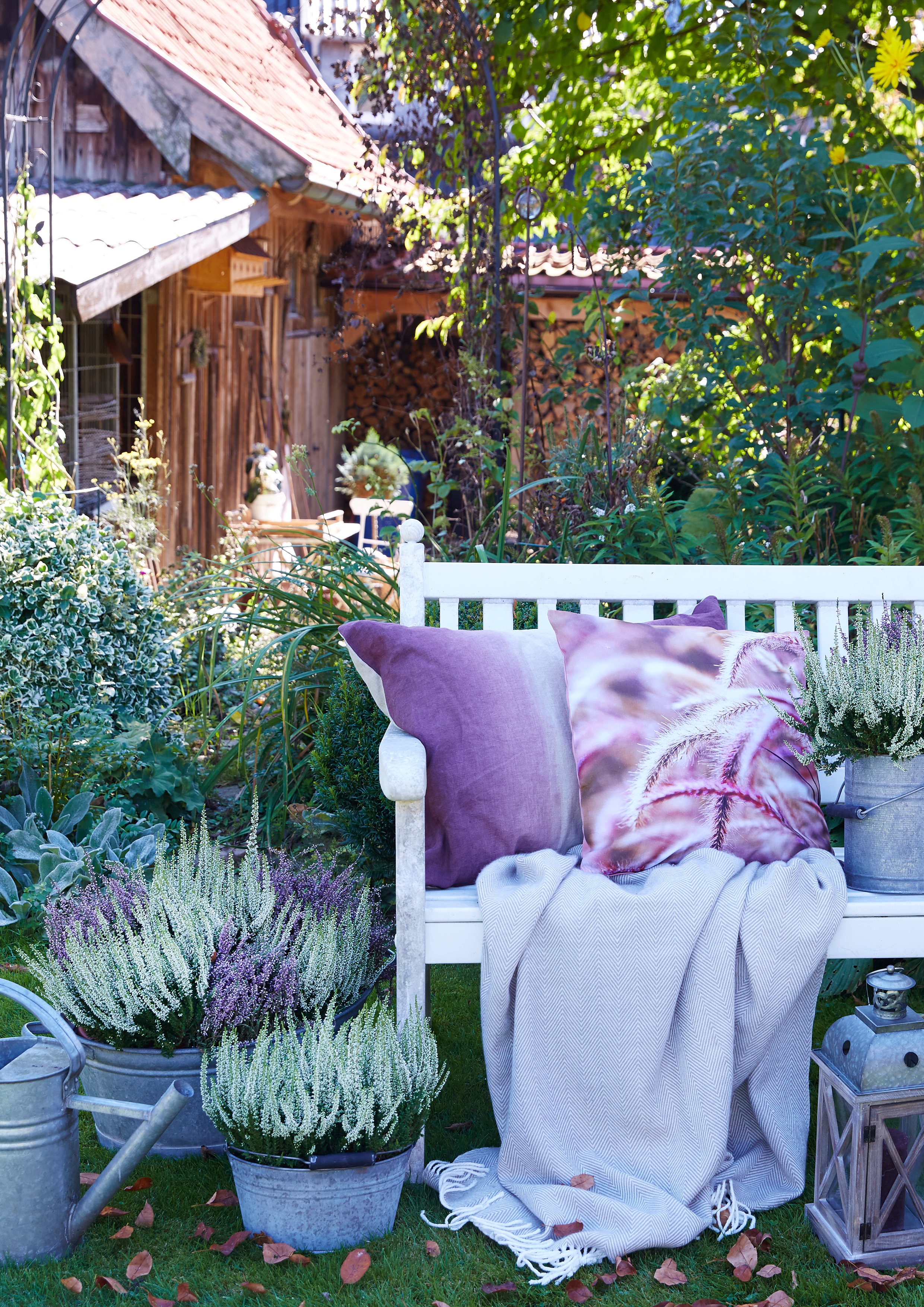 Ein gemütlicher Garten mit weißen Sitzbank, violetten und gestreiften Kissen, Pflanzen in Töpfen, Blätter auf dem Boden, Holzhaus im Hintergrund bei Tageslicht.