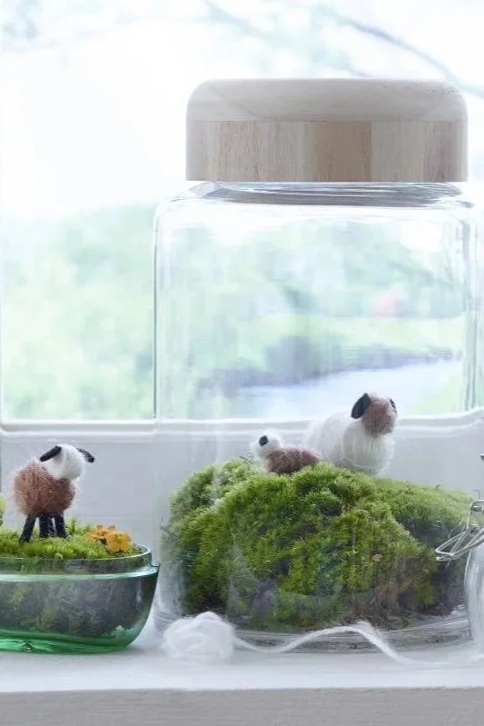 Kleine Wolltiere, die wie Schafe aussehen, in einer Glaskiste mit Moos auf einer Fensterbank.