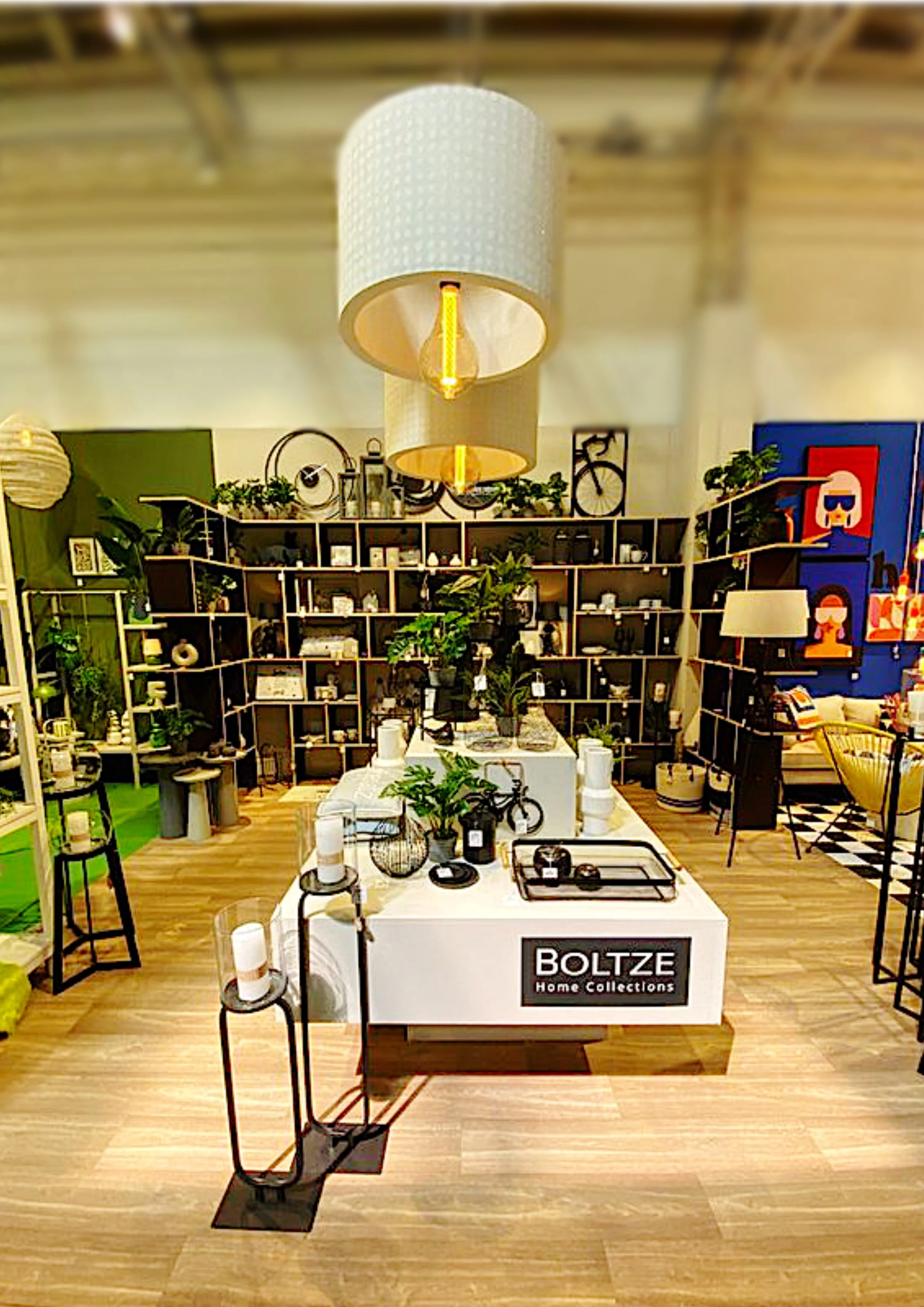 Inneneinrichtung eines Möbelgeschäfts mit Pflanzen, Dekorationsgegenständen und einem beleuchteten Display im Vordergrund.