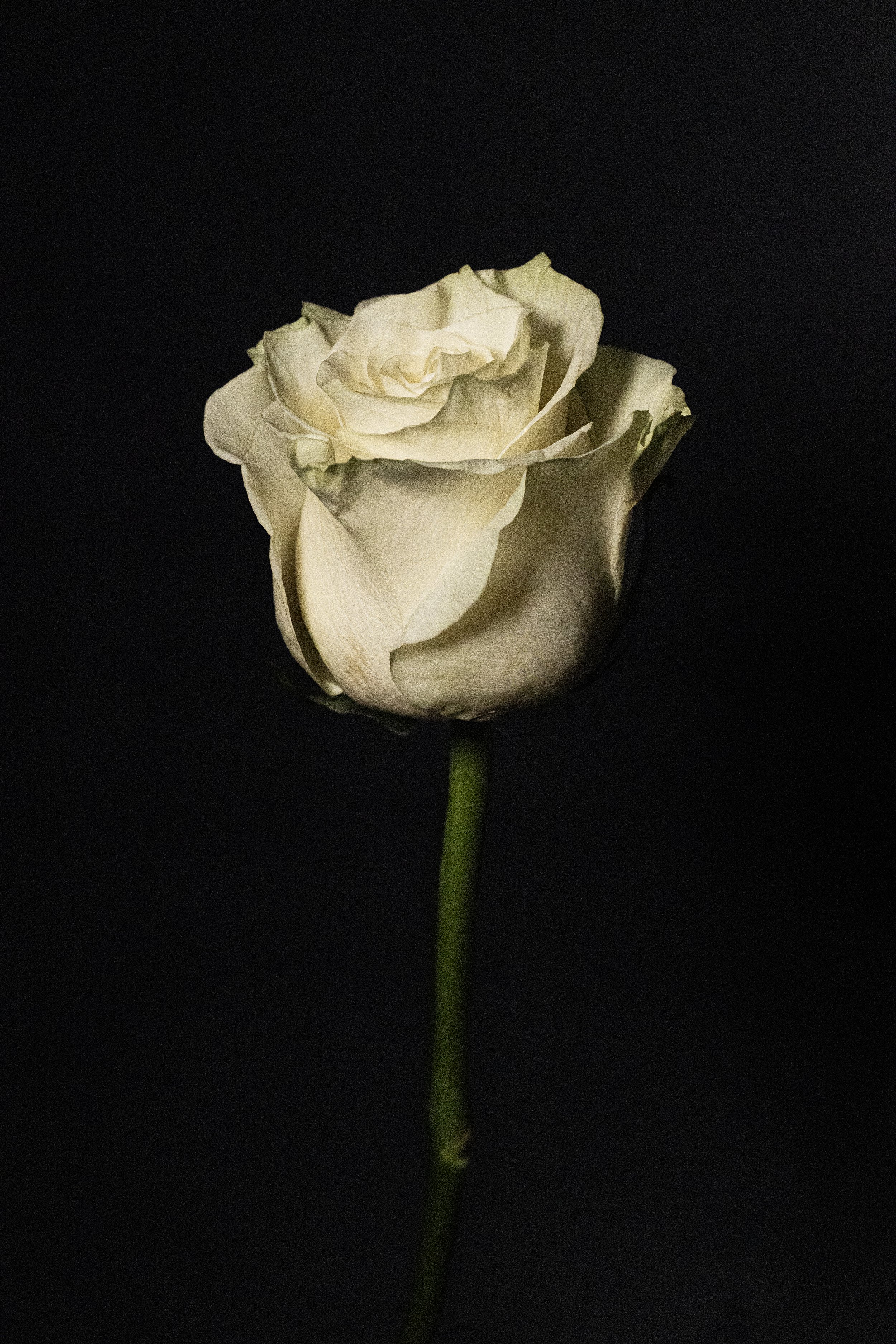 089A9587.jpg