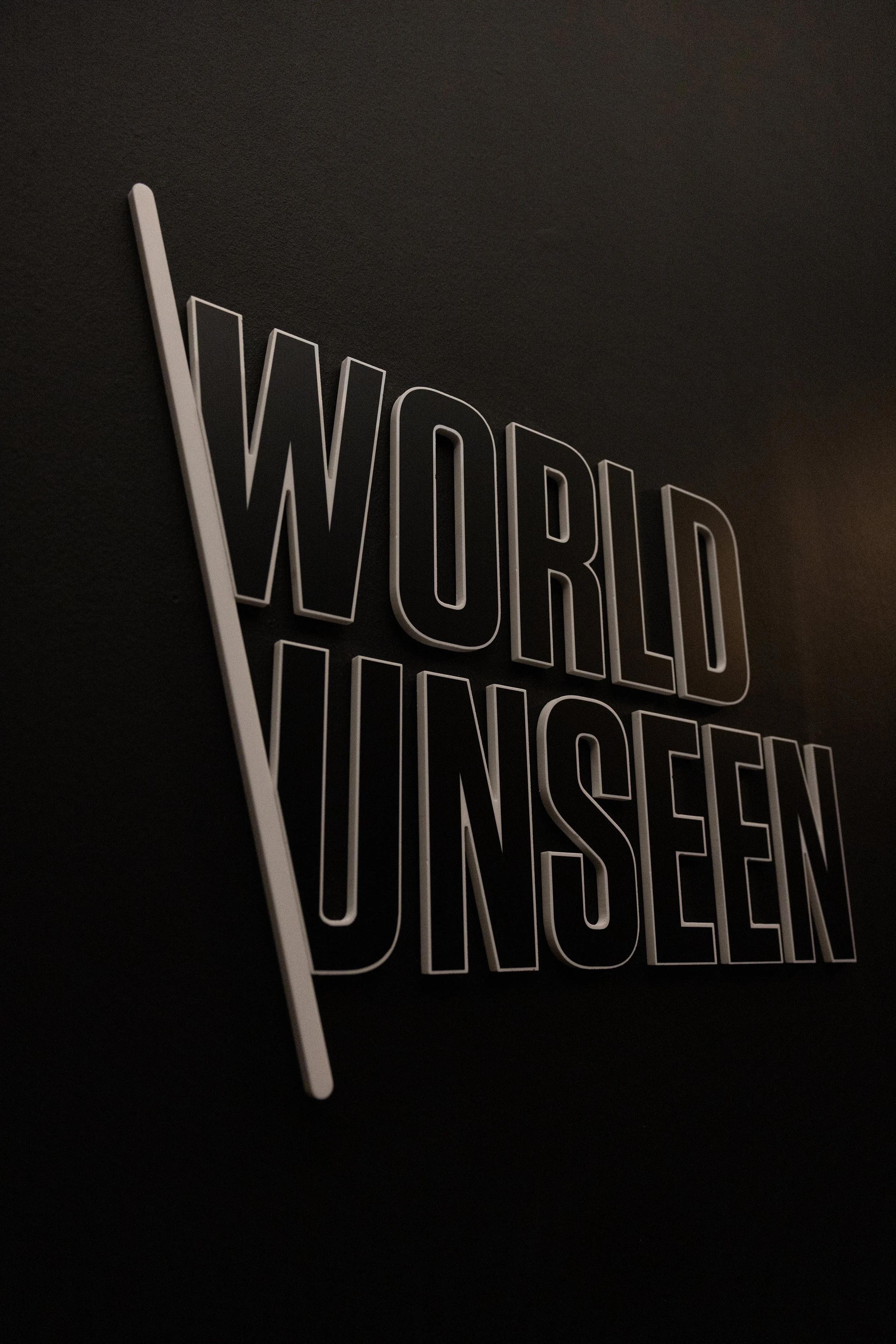 WorldUnseenExhibition__456.jpg