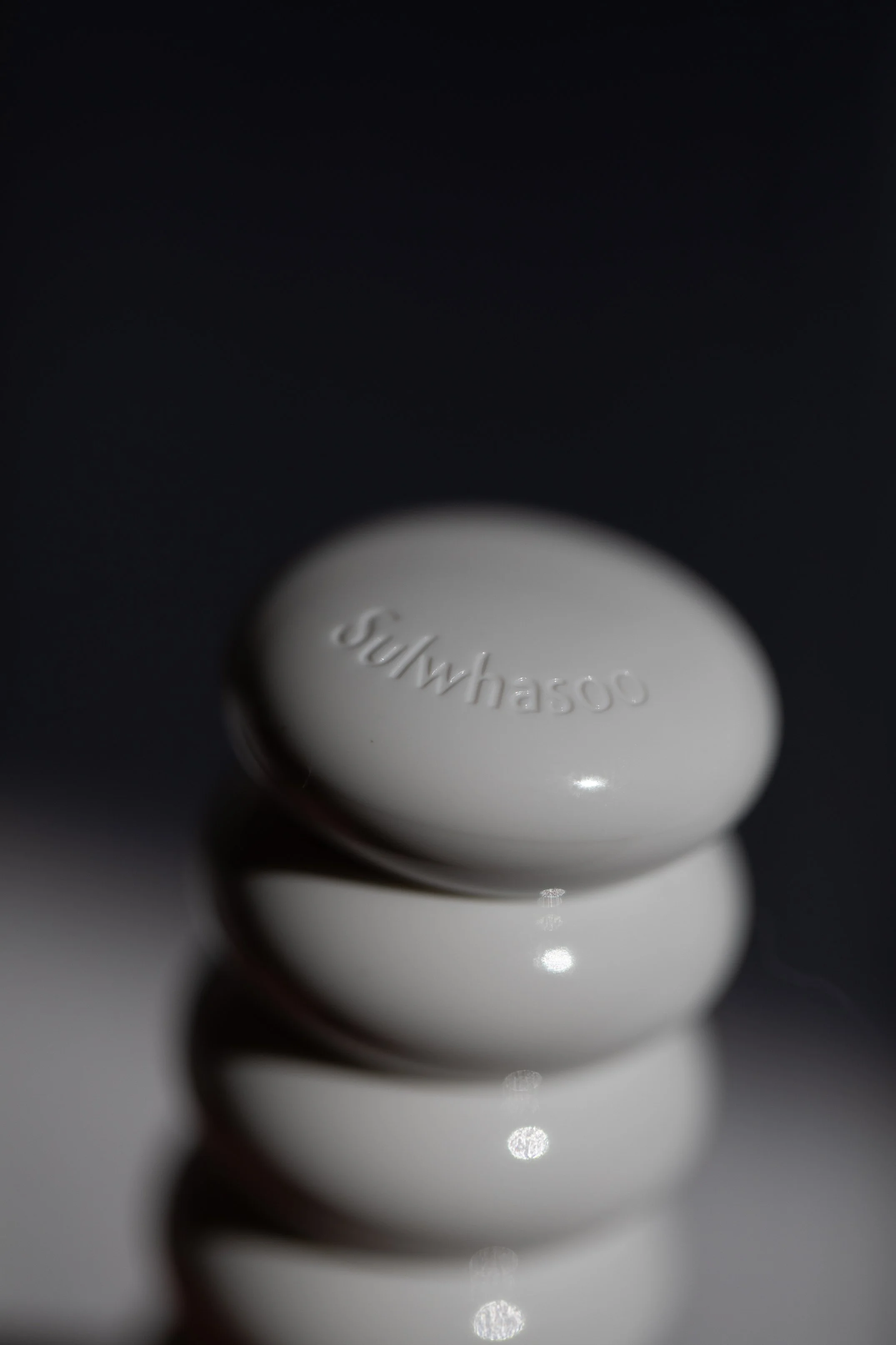 Sulwhasoo_7S1A5026.jpg