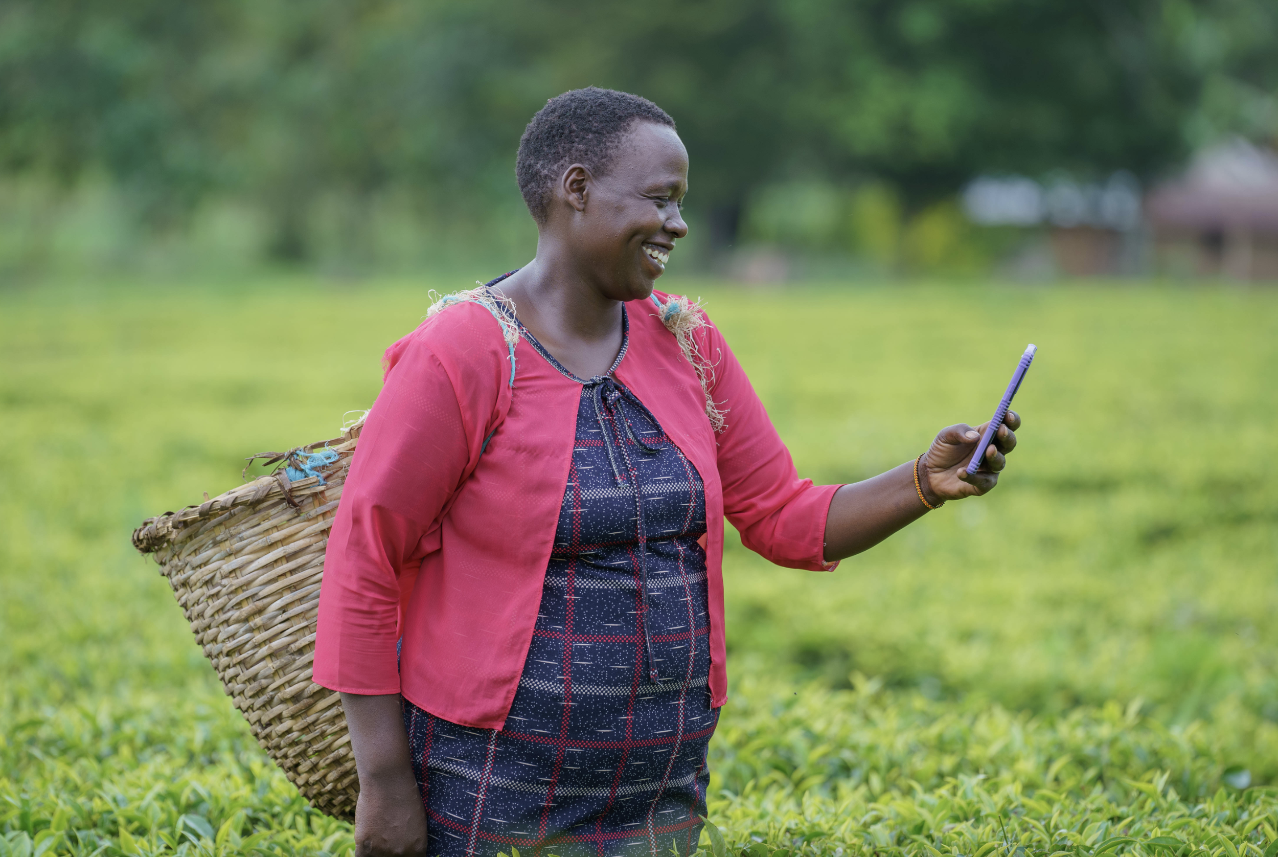 Innovative Tools for Smallholder Farmers across Africa and Asia