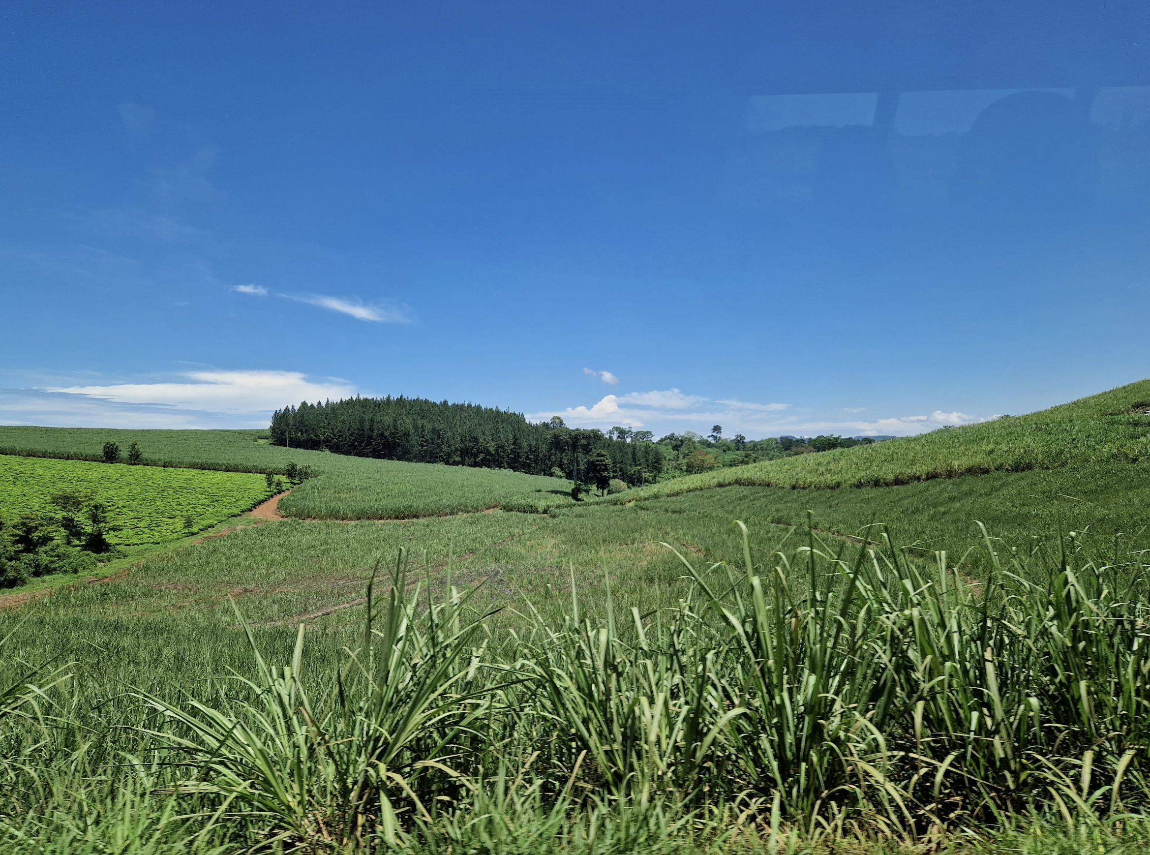 Green fields of farmland with a dirt path, some trees, and a large blue sky with a few scattered clouds.